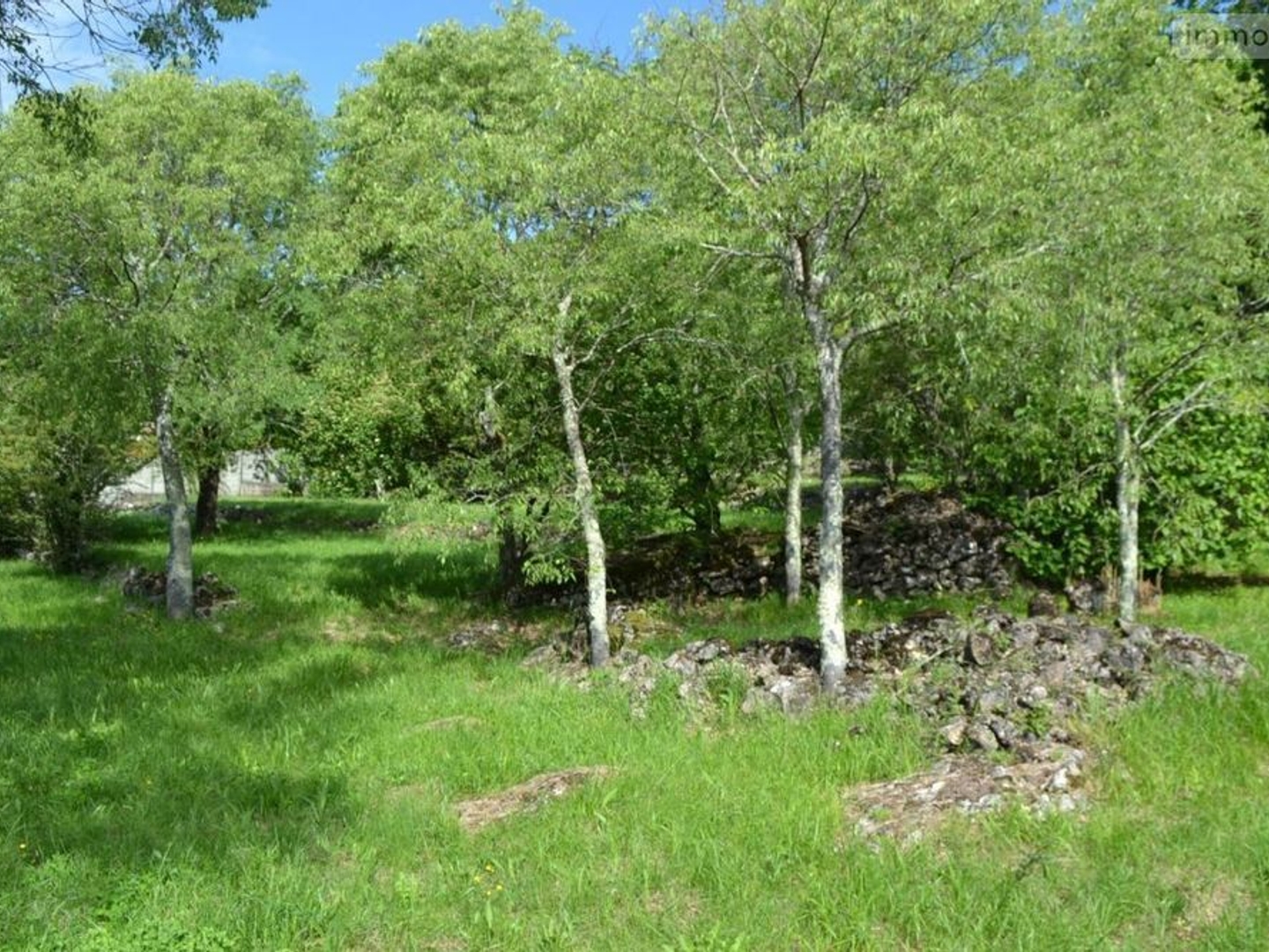 Terrain à vendre - 1583m2 - Montréal (07110)