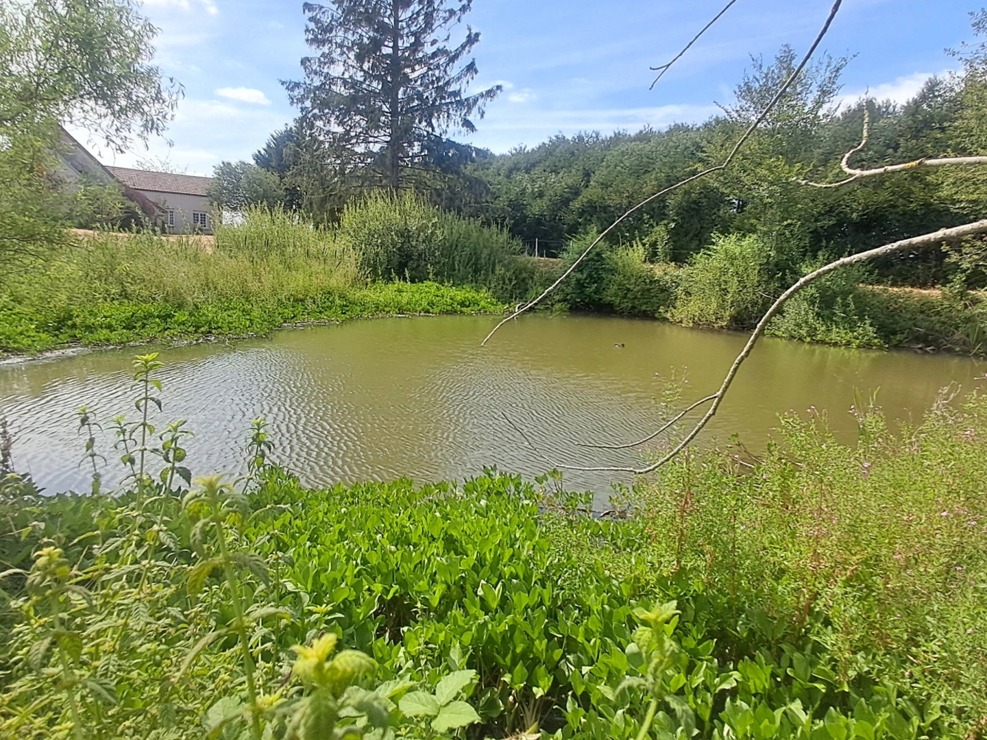 Maison à vendre - 6 pièces - 170m2 - Le Thoult-Trosnay (51210)