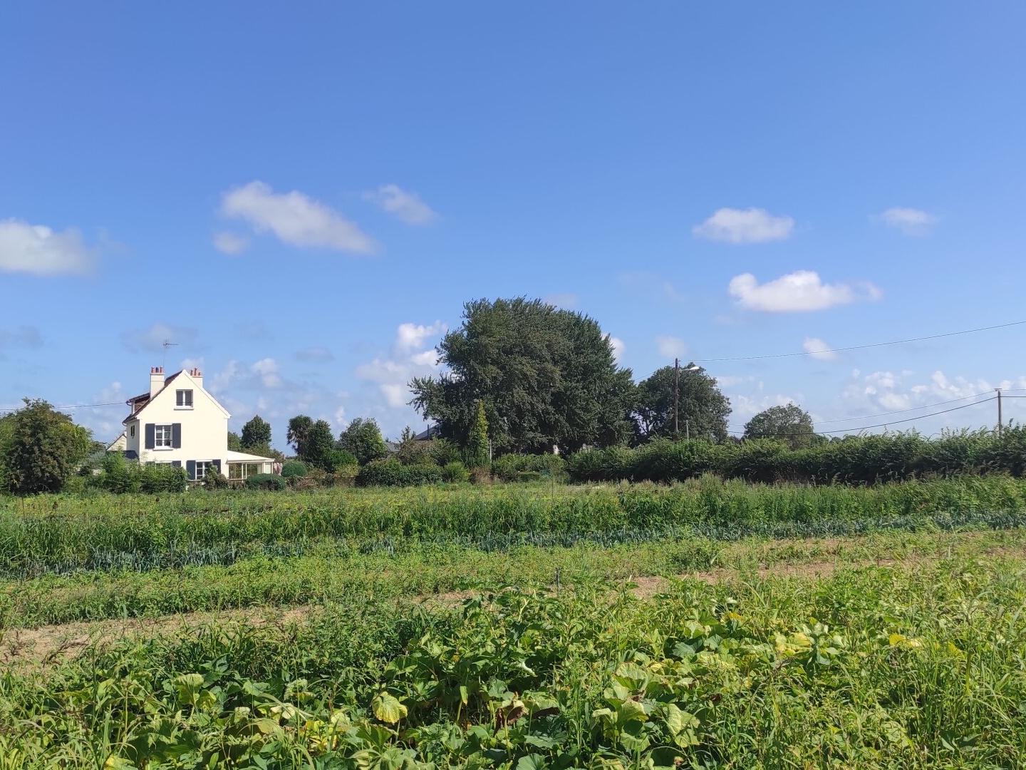 Terrain à vendre - 1202m2 - Gonneville-En-Auge (14810)