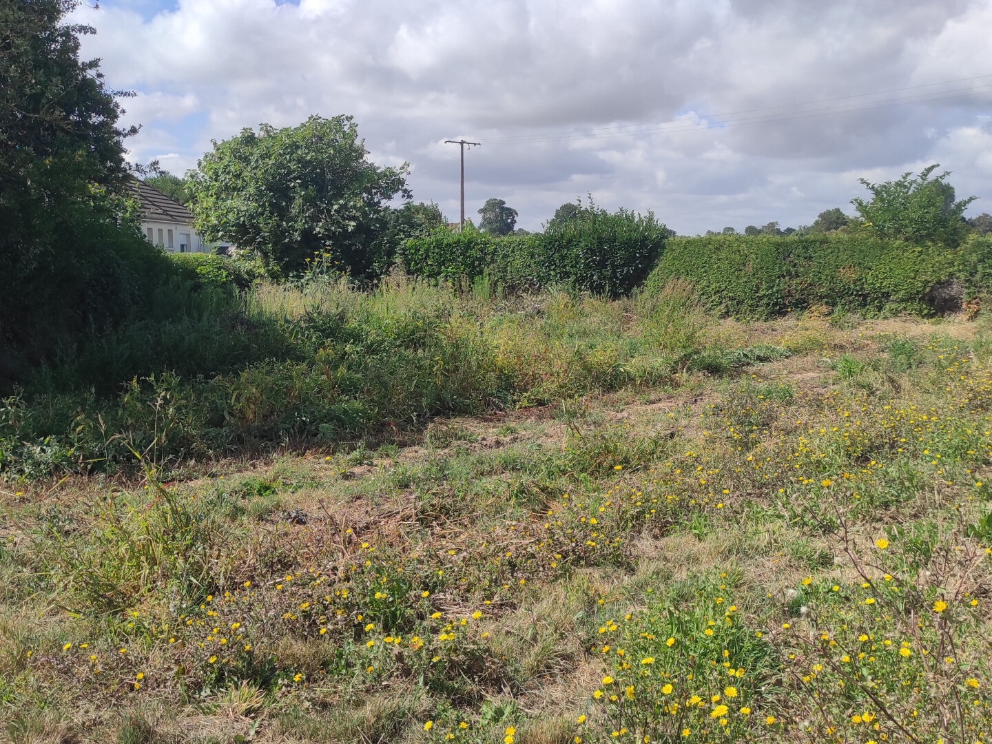 Terrain à vendre - 1202m2 - Gonneville-En-Auge (14810)