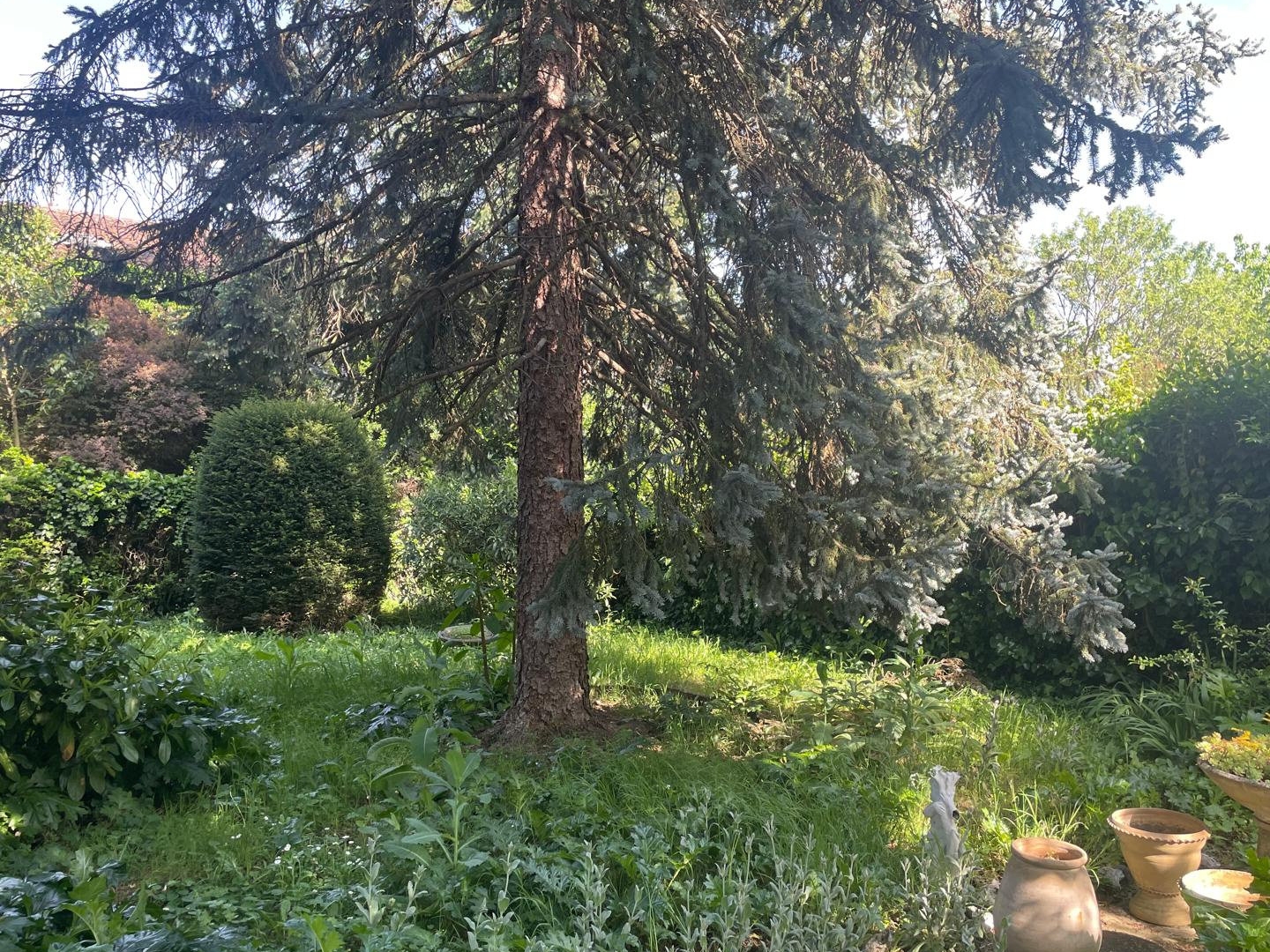 Maison à vendre - 5 pièces - 140m2 - Toulouse (31500)