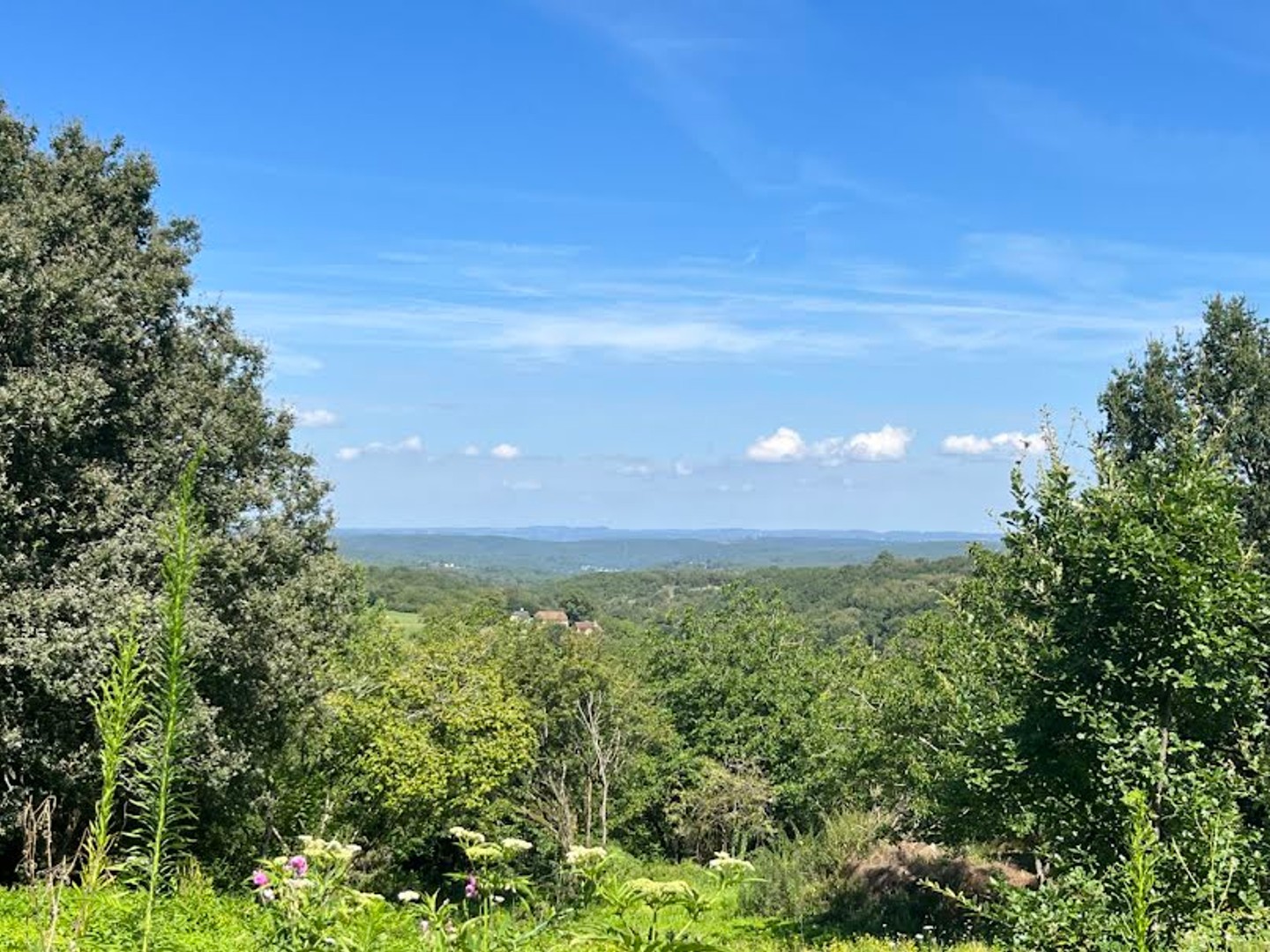 Terrain 8085 m²