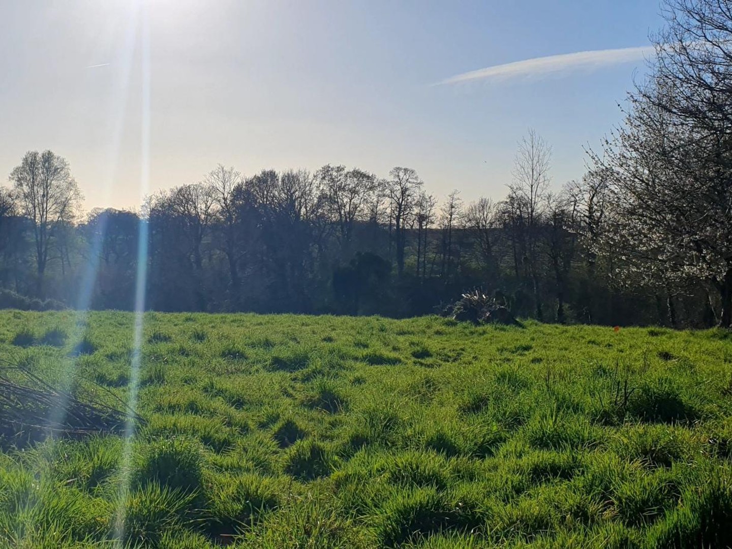 Très grande parcelle à Dol de Bretagne