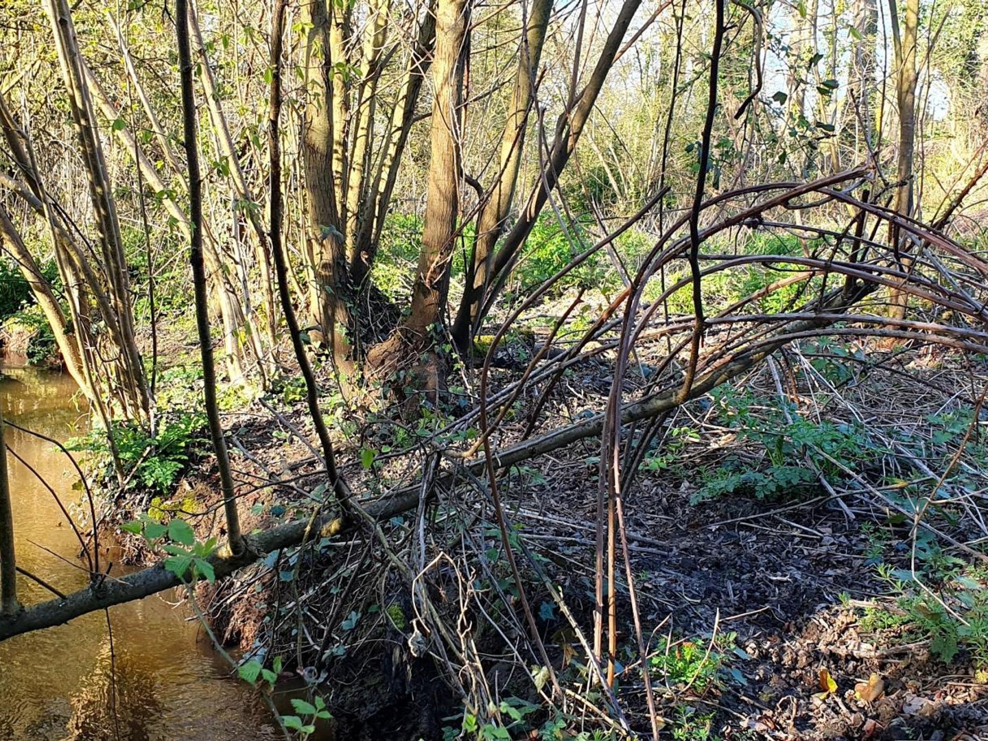 Terrain à vendre - 2208m2 - Dol-De-Bretagne (35120)