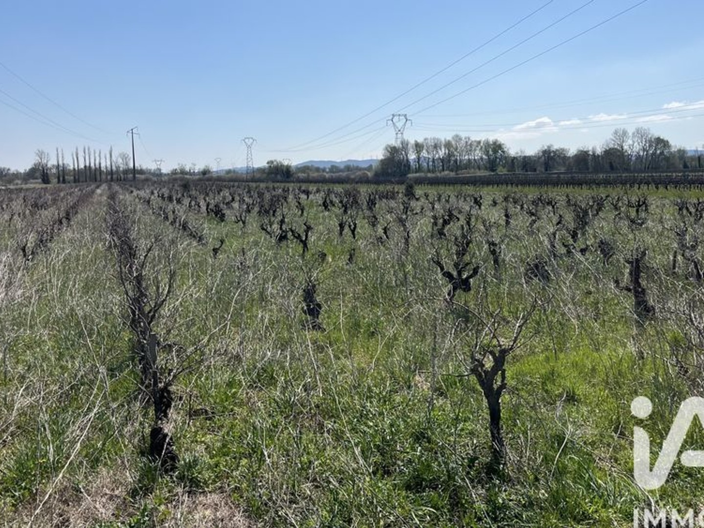 Vente Terrain agricole 5 160 m²