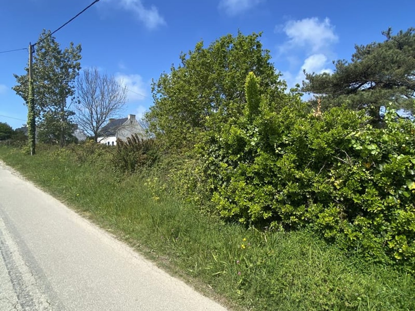 Terrain à vendre - Groix (56590)