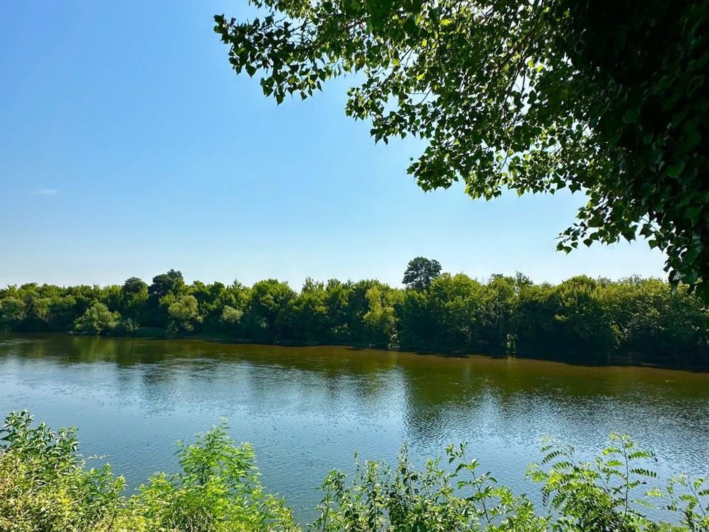 Maison à vendre - 430m2 - Saint-Seurin-De-P... (24230)