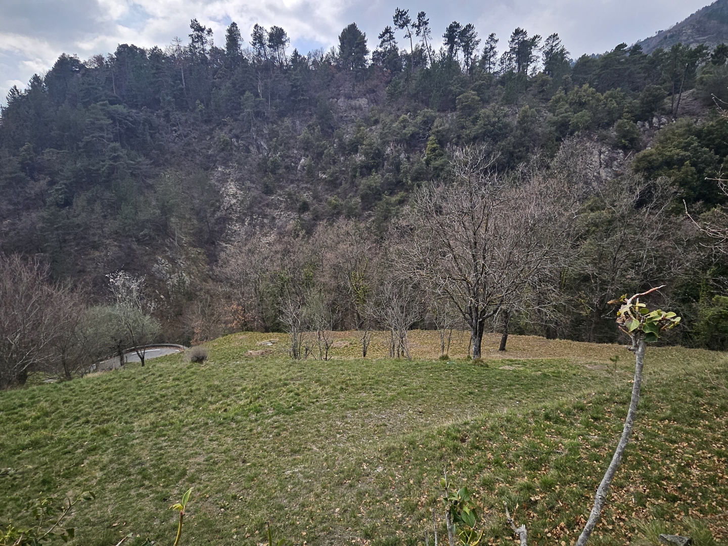 LUCERAM - Magnifique terrain de loisirs avec maisonnette