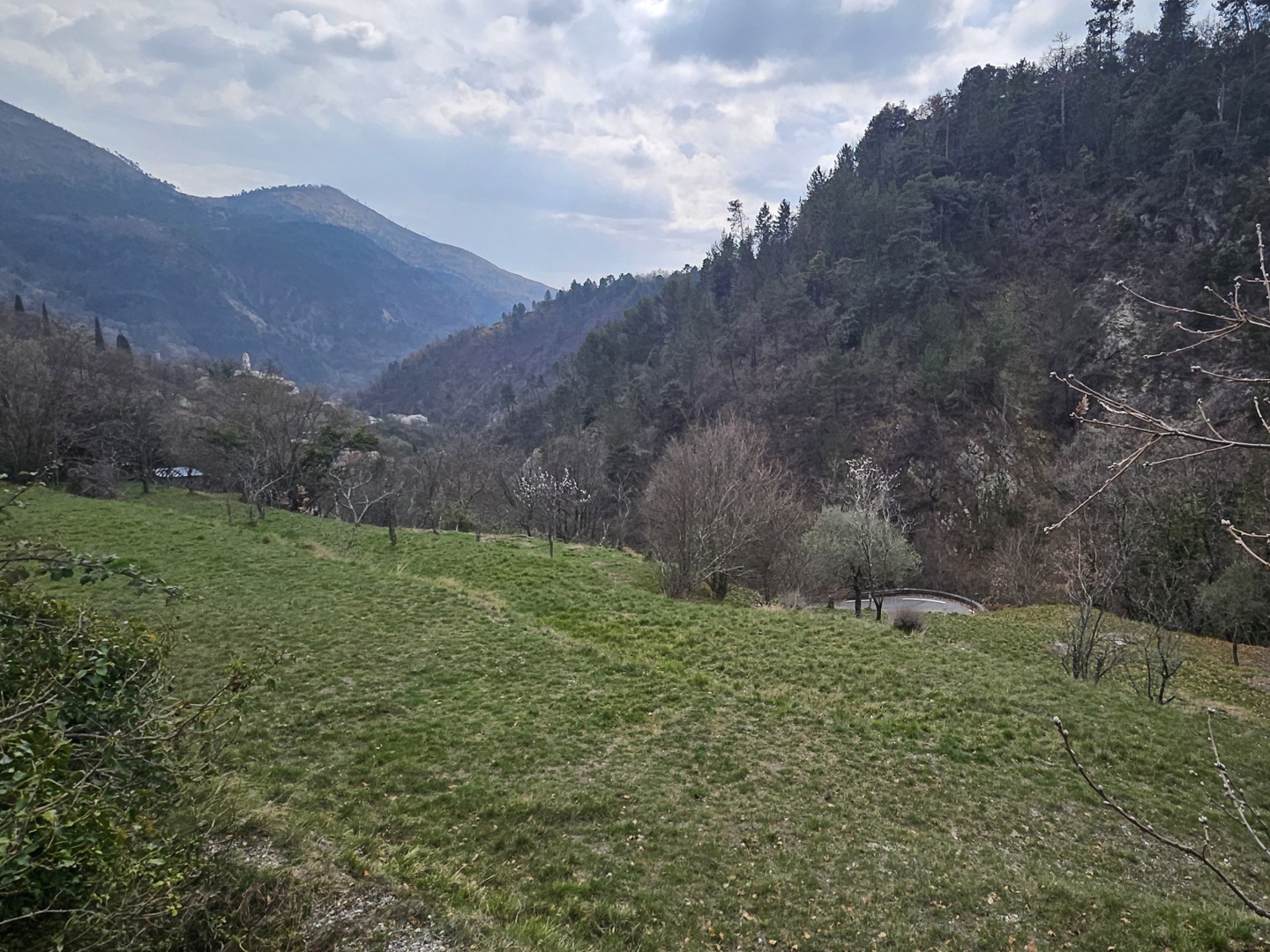 Terrain à vendre - 8900m2 - Lucéram (06440)