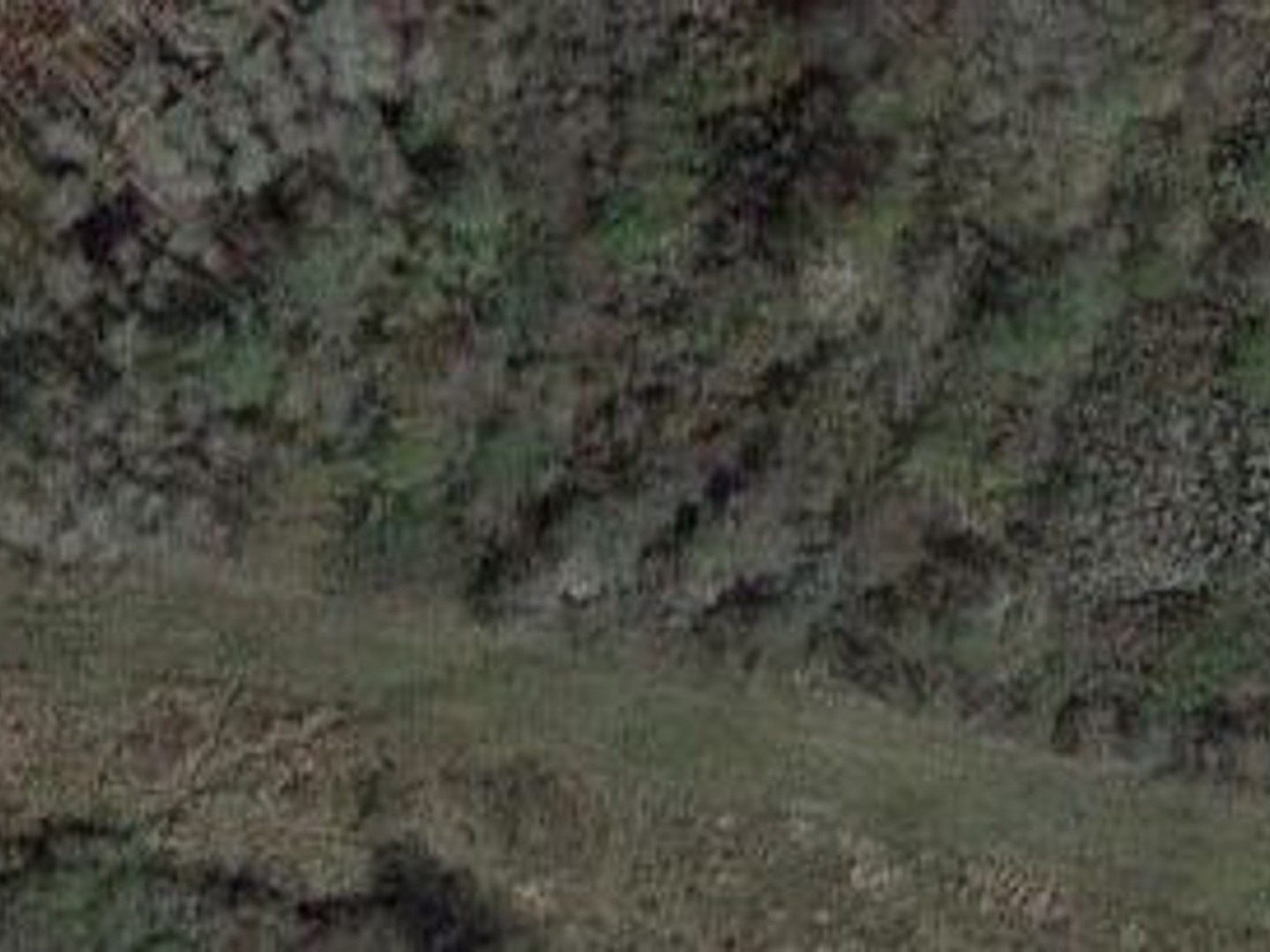 Terrain en partie boisé 700 m2