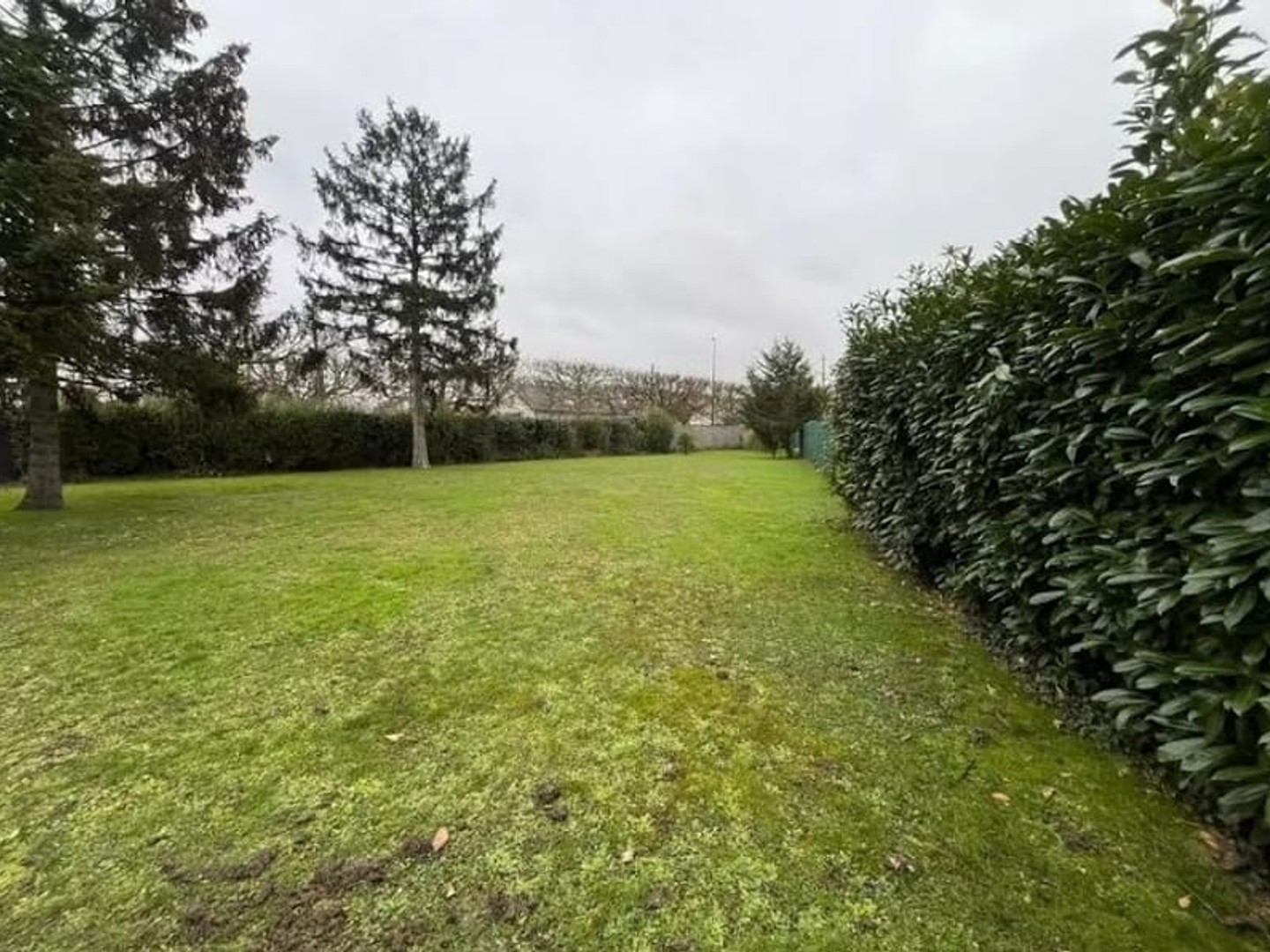 Terrain 1000 m²