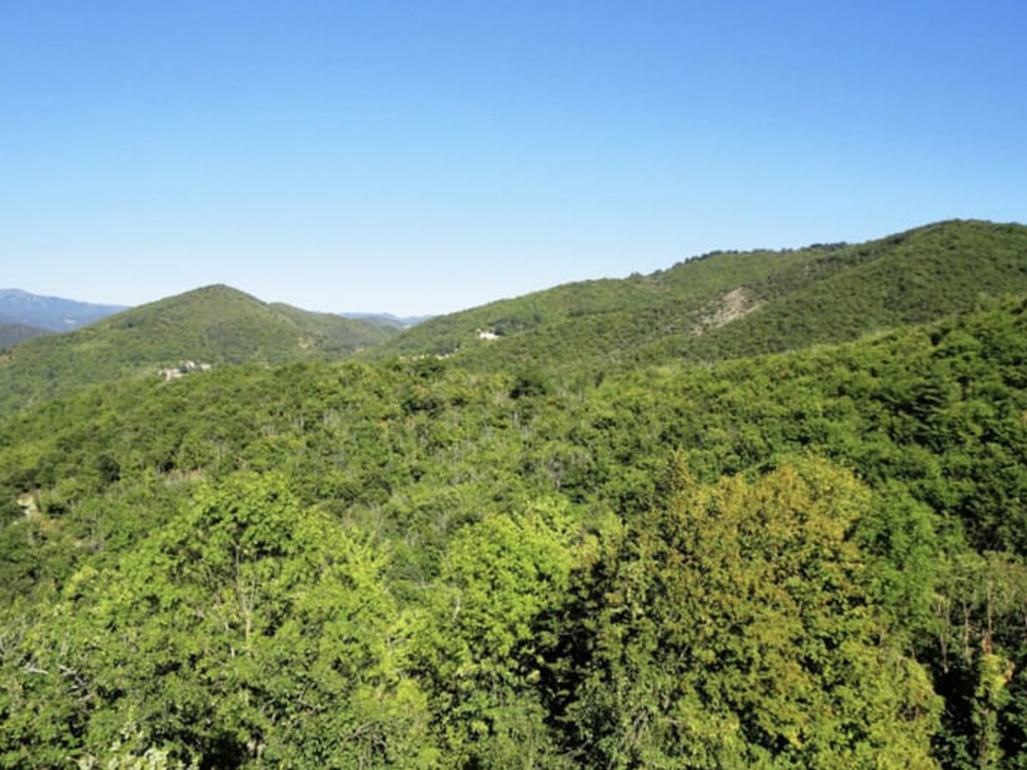 Maison avec vue dégagée et très grand terrain