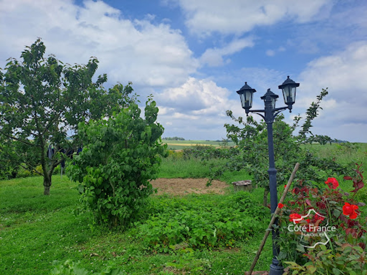 Locaux à vendre - 7 pièces - 2646m2 - Macquigny (02120)