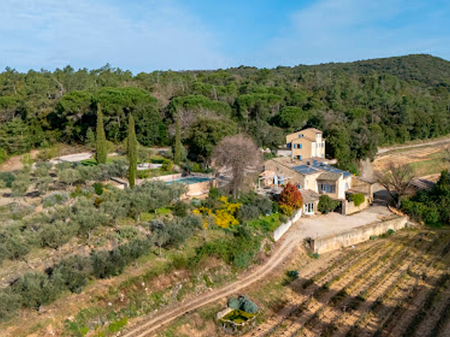 Maison