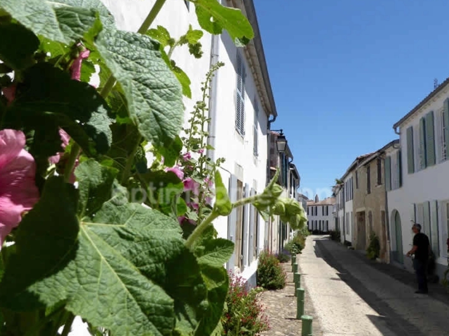 Maison à vendre - 12 pièces - 366m2 - La Flotte (17630)
