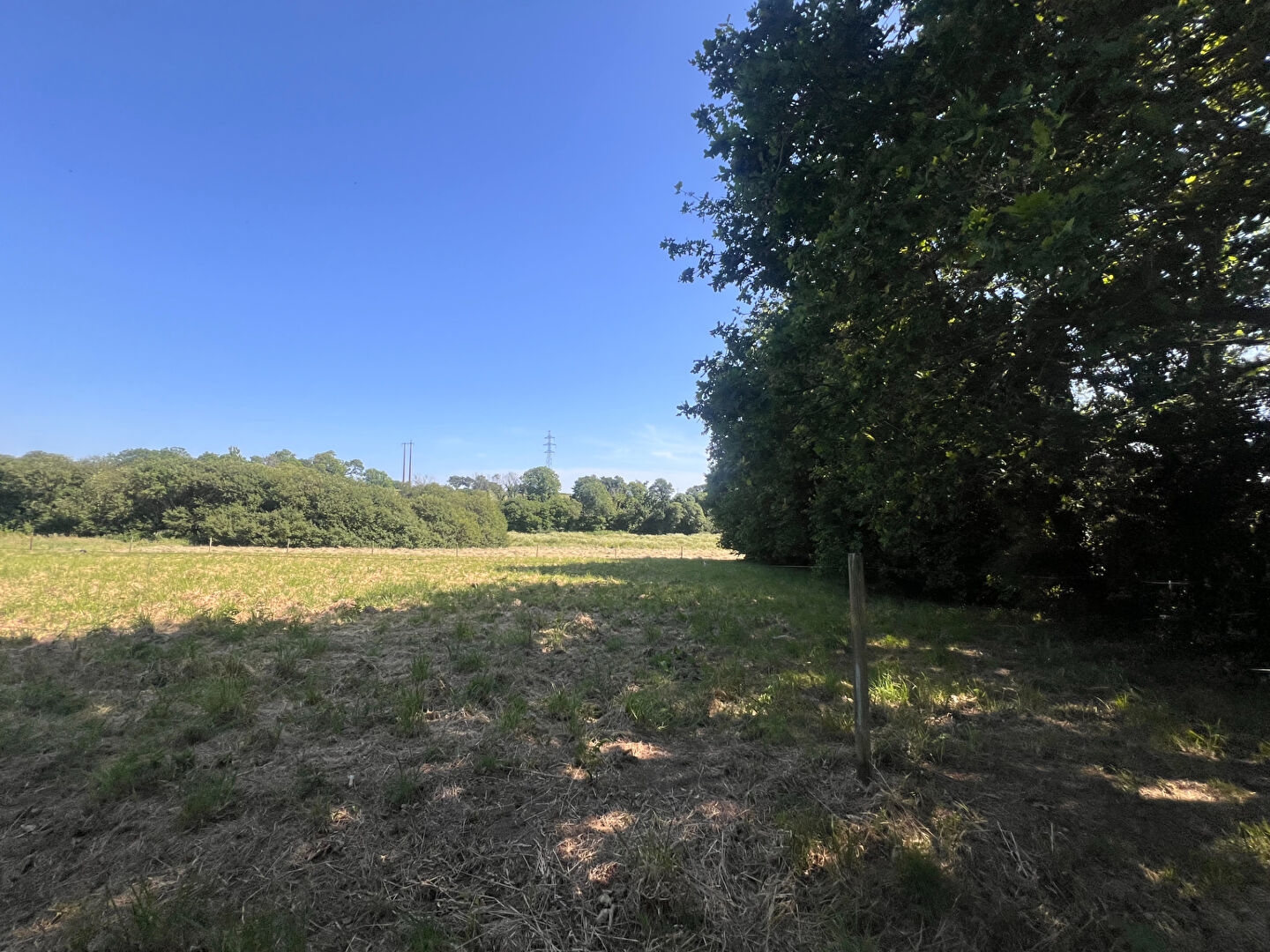 Terrain à vendre - 4330m2 - Plonéour-Lanvern (29720)