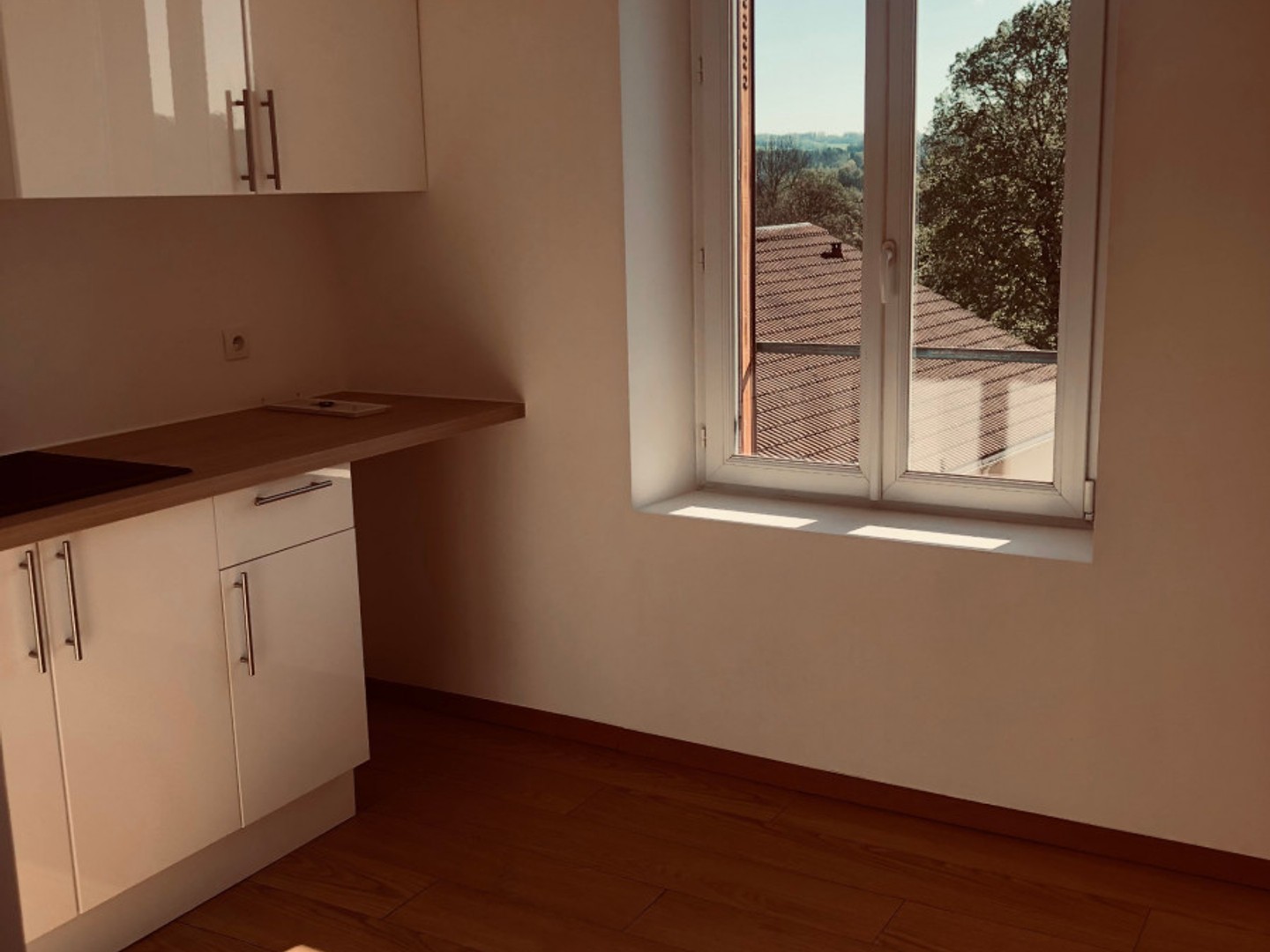 Appartement à louer - Mirecourt (88500)