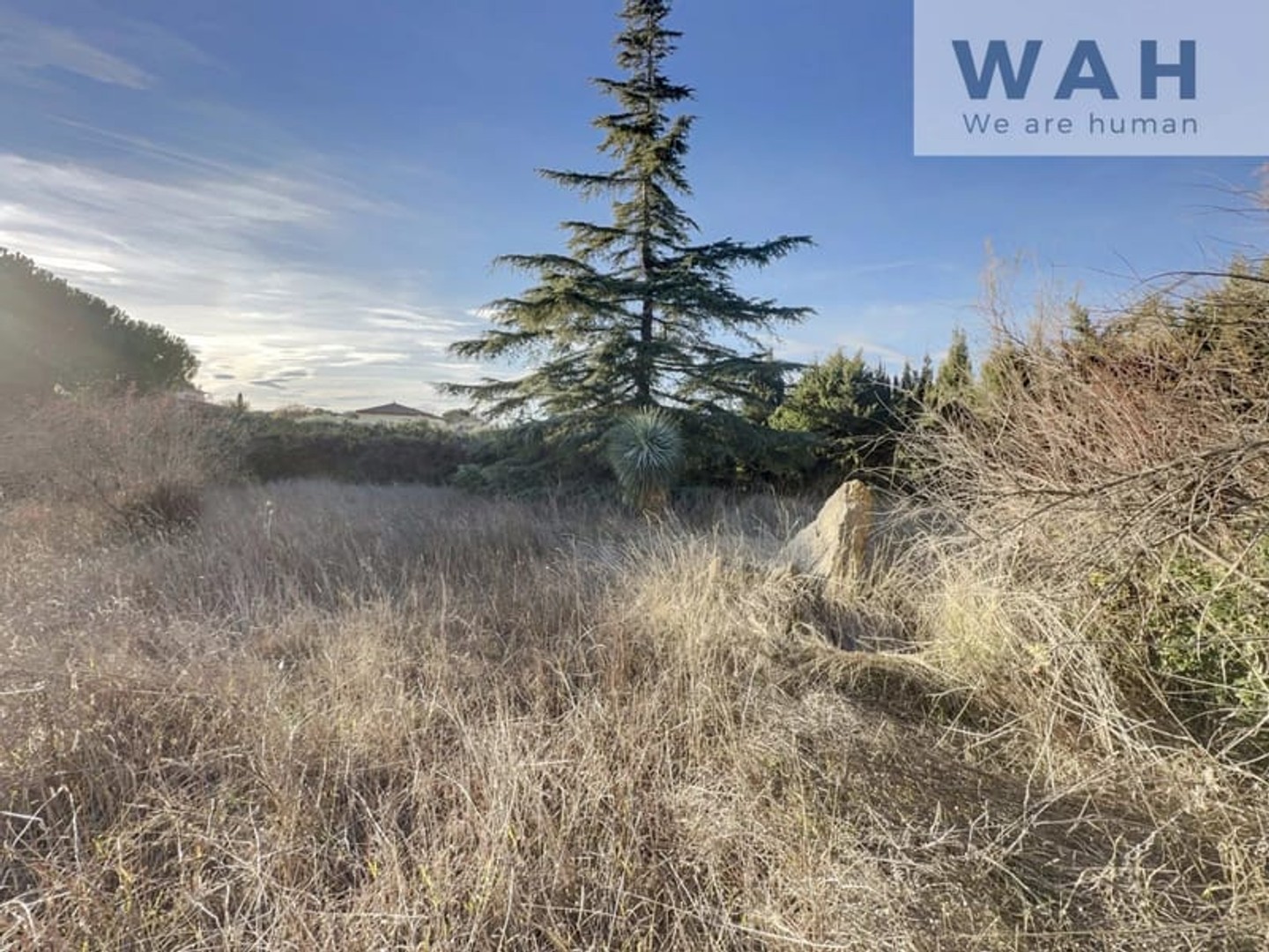 Terrain à vendre - 412m2 - Saint-Jean-De-Védas (34430)