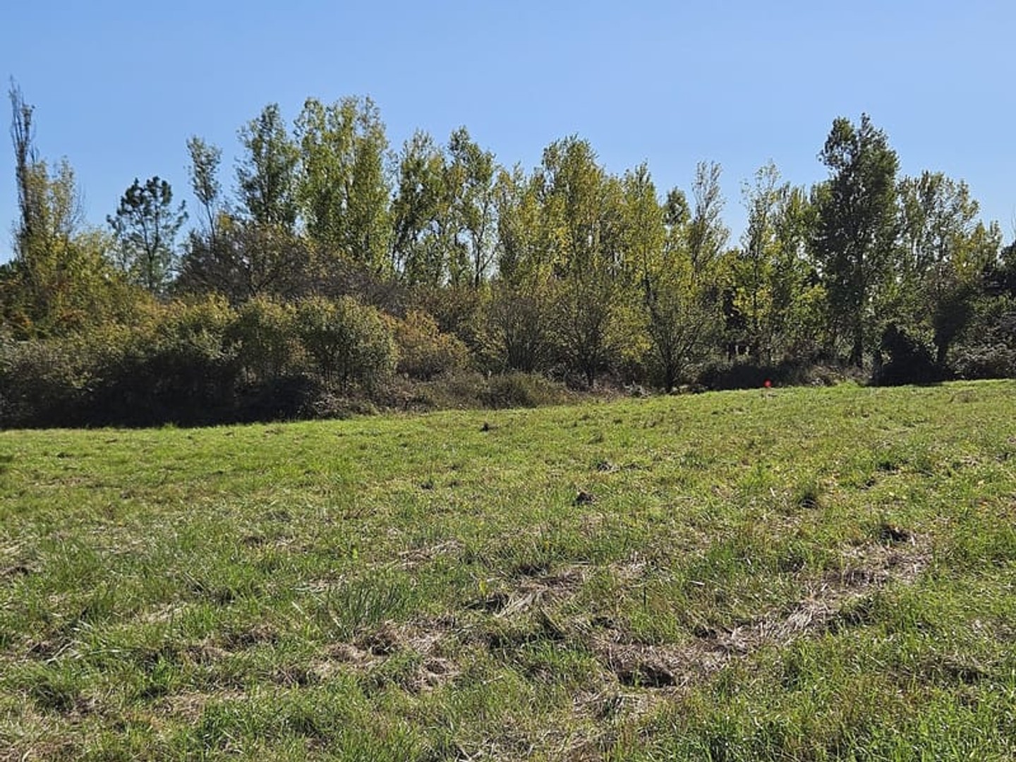 Terrain à vendre - 3270m2 - Seysses (31600)