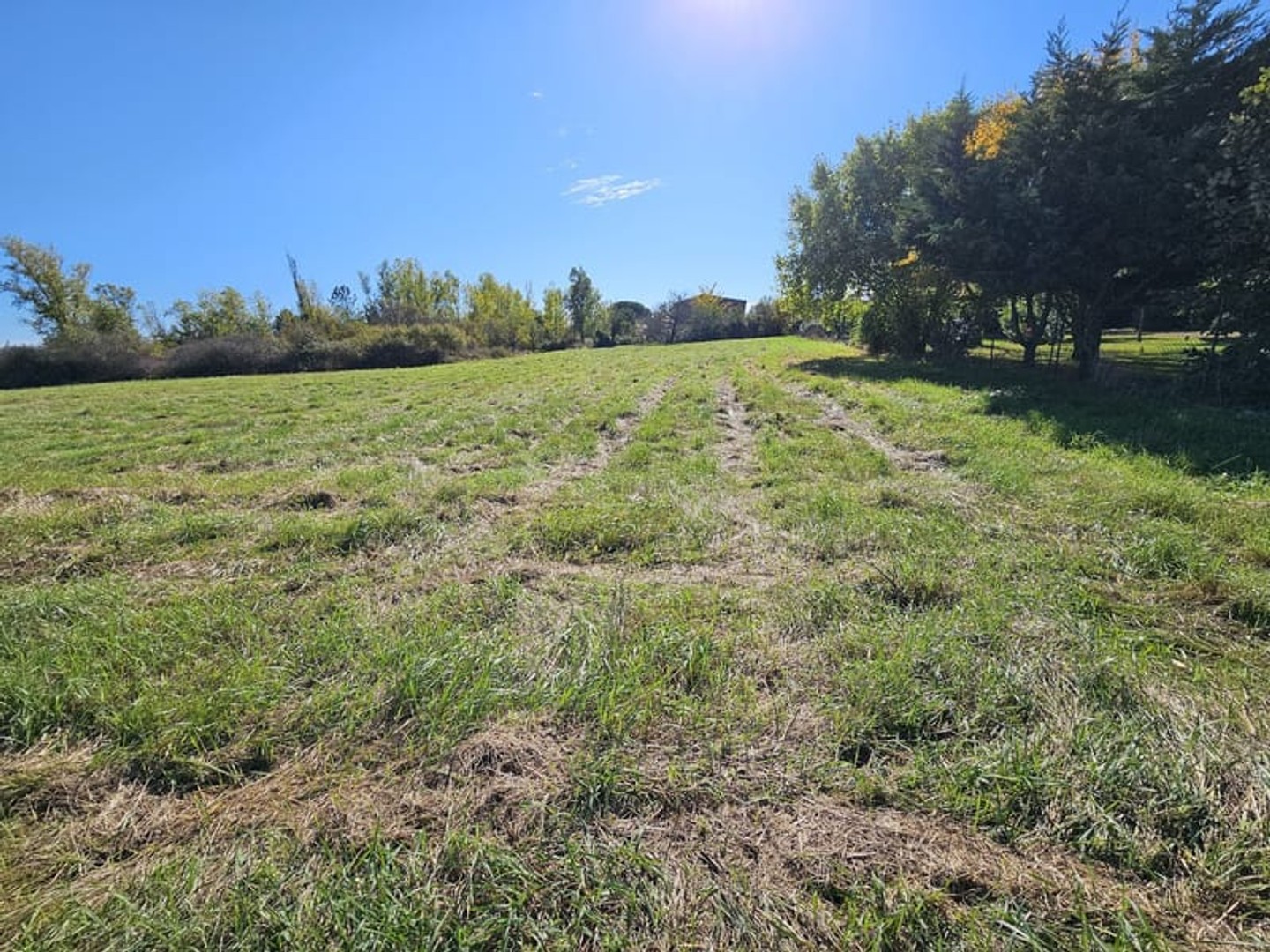 Terrain à vendre - 3270m2 - Seysses (31600)