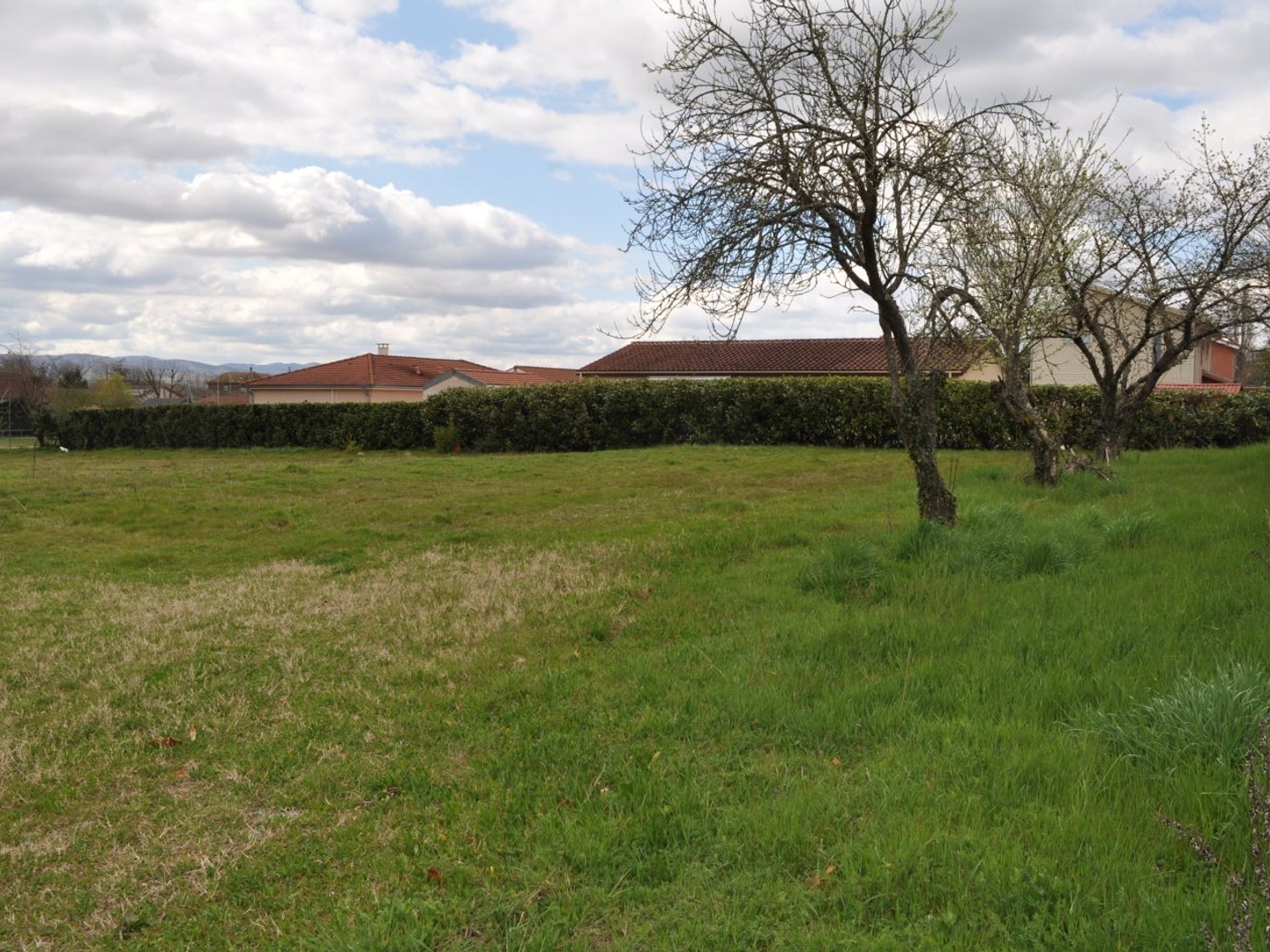 Terrain constructible