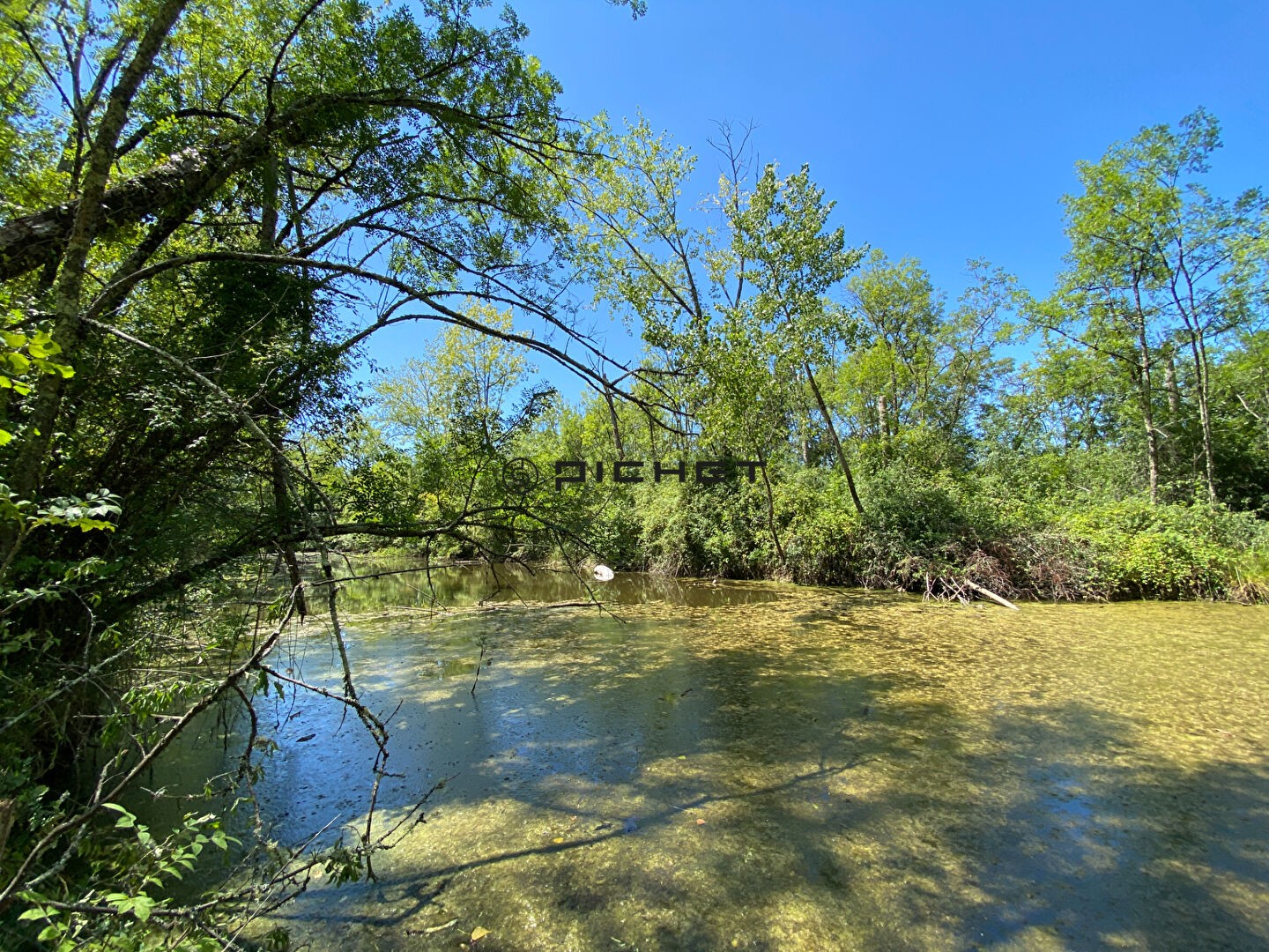 Terrain de plus de 3 hectares avec étang