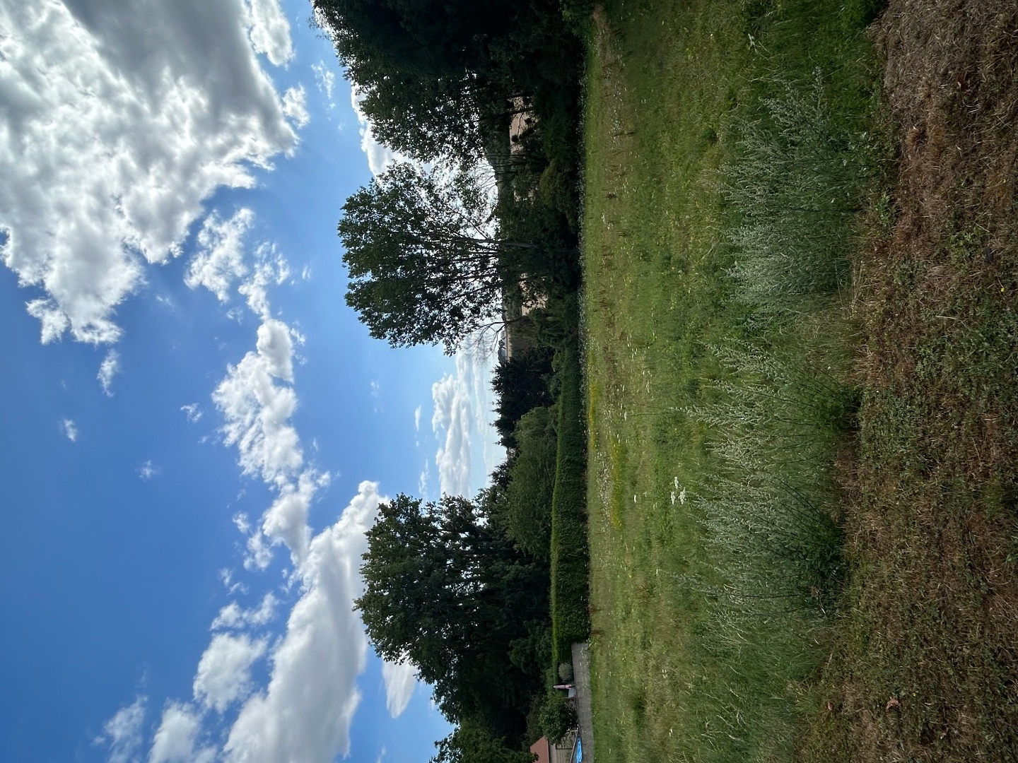 Terrain 2690 m²