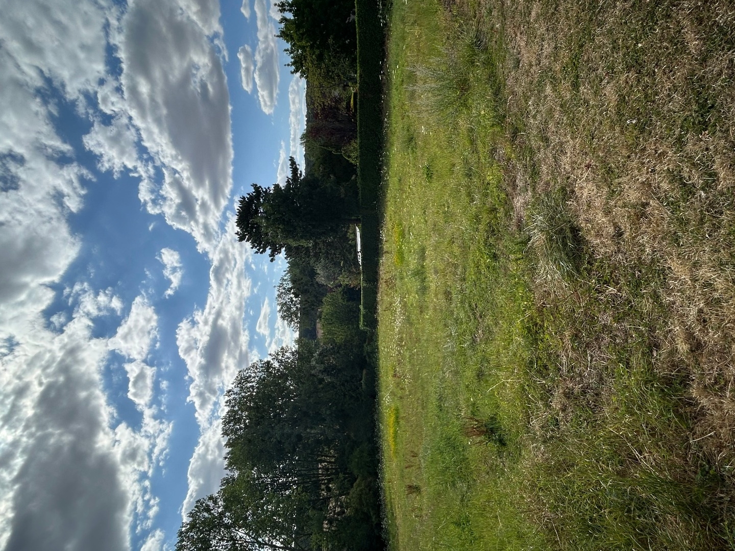 Terrain à vendre - 2690m2 - Commenchon (02300)