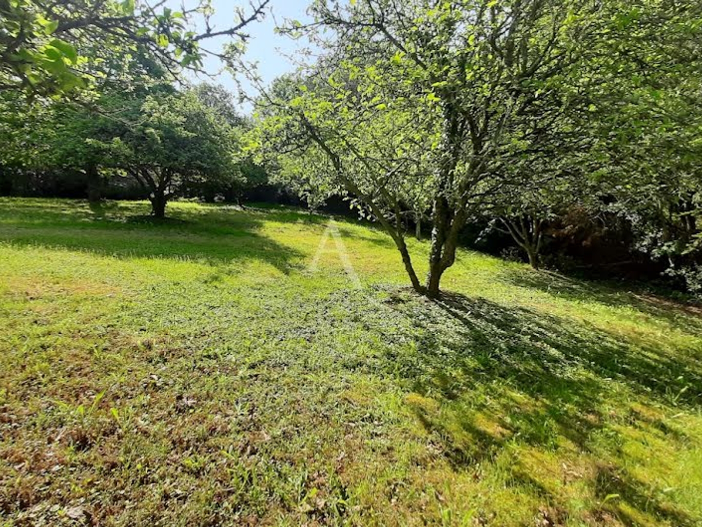Terrain à vendre - 2000m2 - Poiroux (85440)