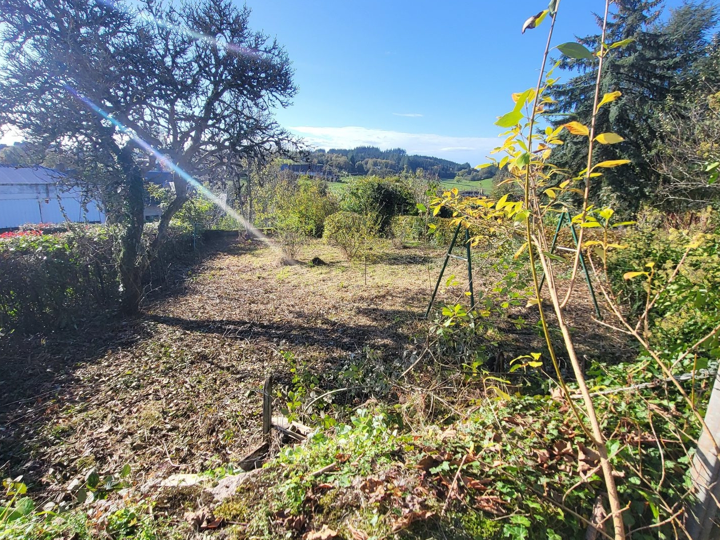 Immeuble à vendre - 280m2 - Château-Chinon (58120)