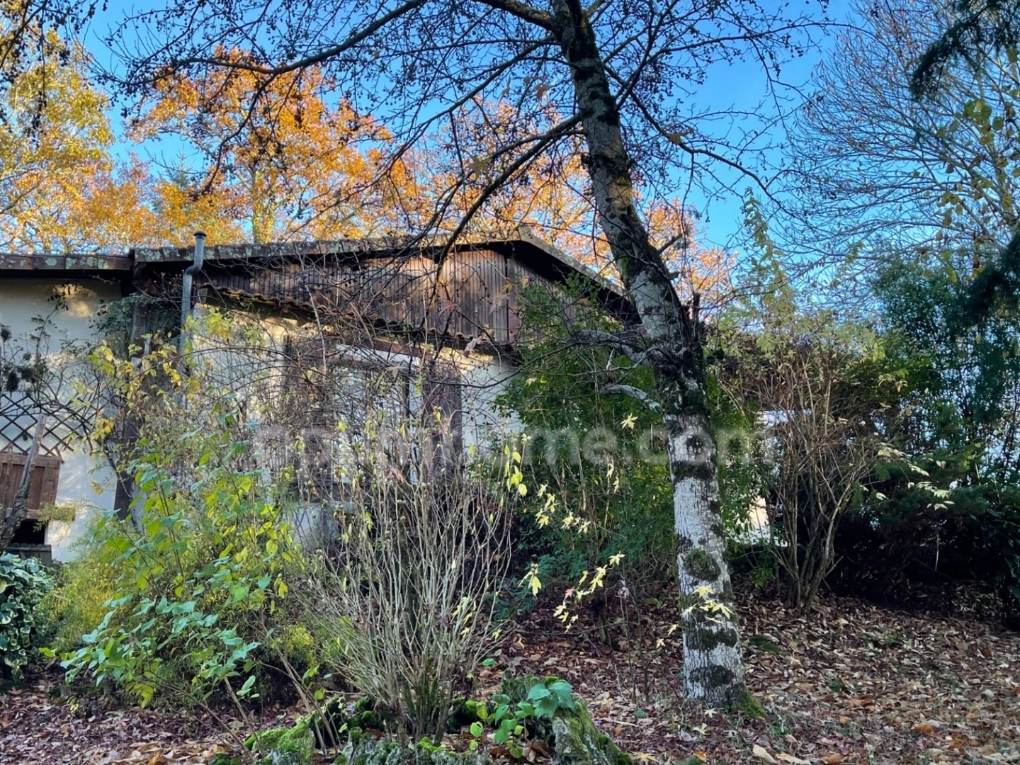 Maison à vendre - 3 pièces - 61m2 - Thouron (87140)