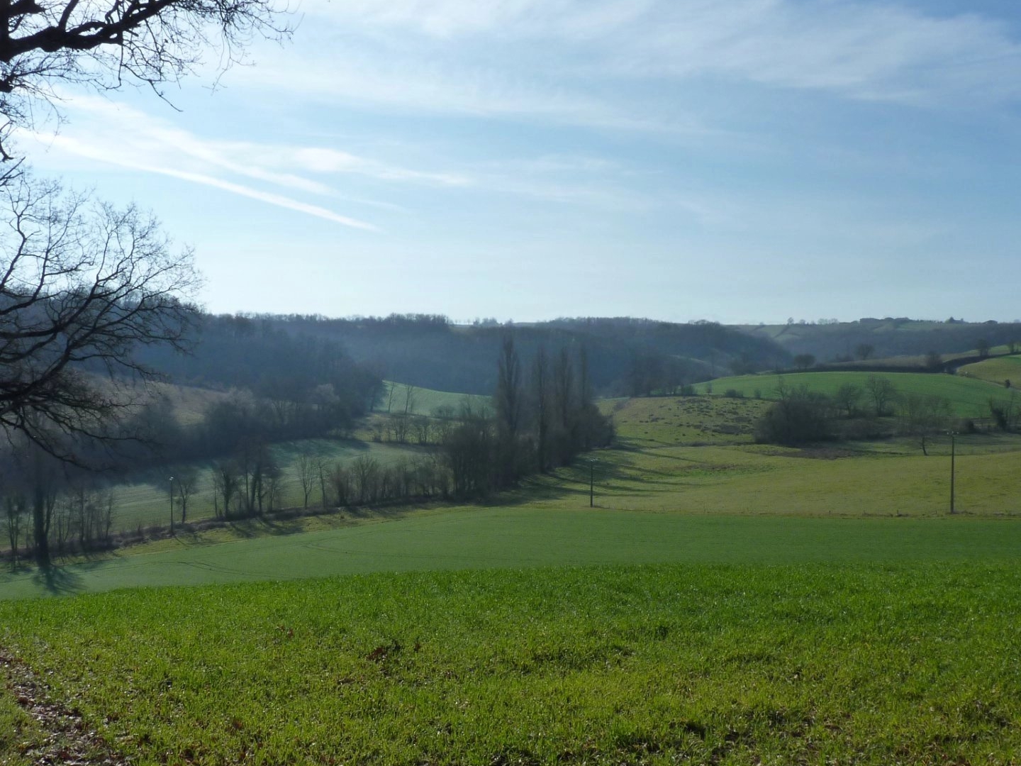 Terrain en individuel 5000 m²