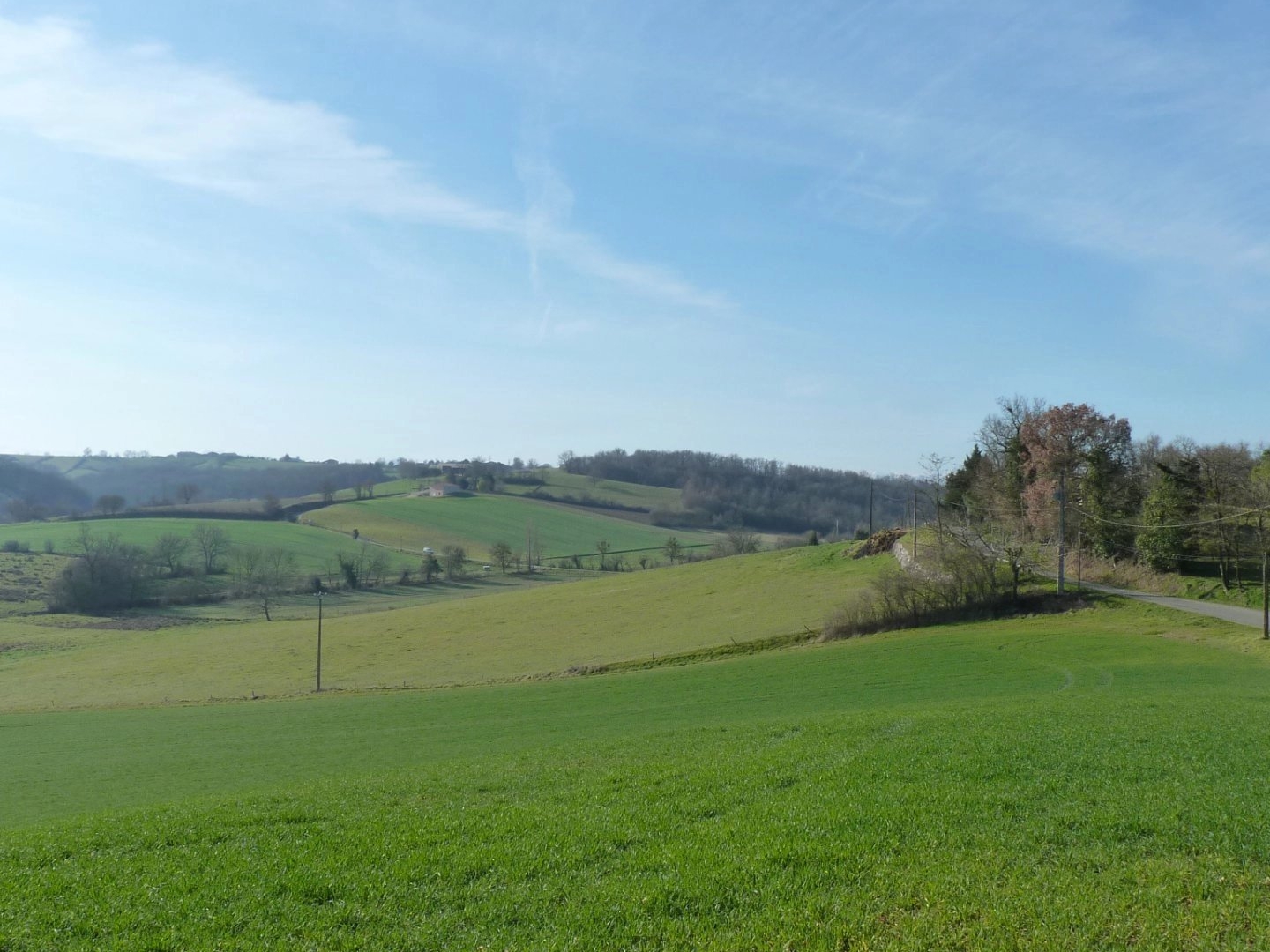 Terrain à vendre - 5000m2 - Castéra-Vignoles (31350)