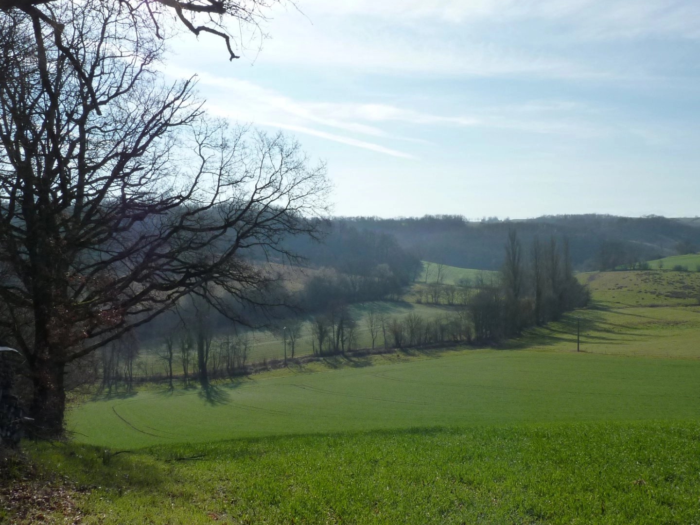 Terrain à vendre - 5000m2 - Castéra-Vignoles (31350)