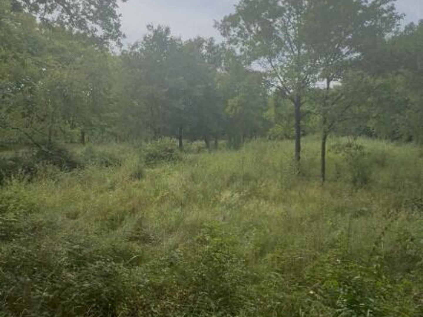Terrain 700 m²