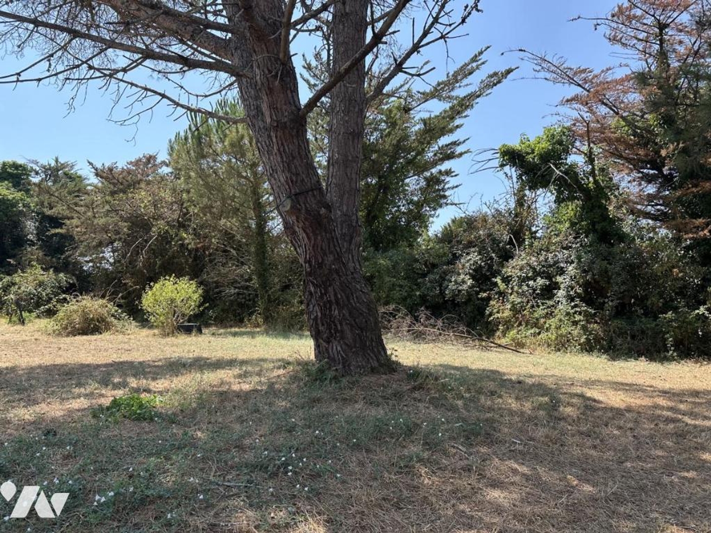 Maison à vendre - 118m2 - Angles (85750)