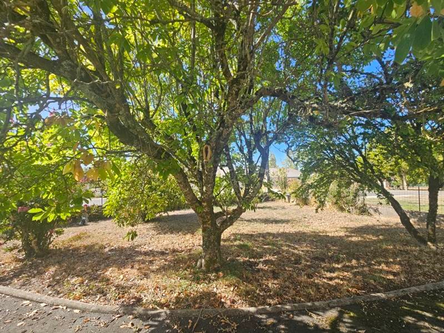 Maison à vendre - 7 pièces - 151m2 - Montguyon (17270)