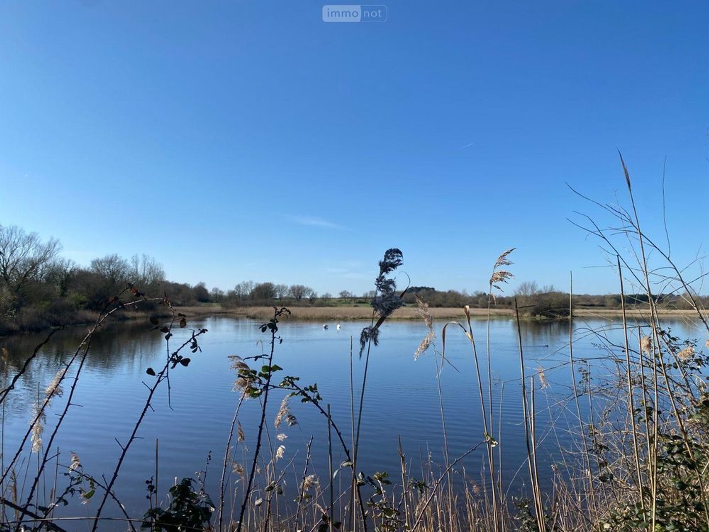 Terrain à vendre - 130000m2 - Lingé (36220)