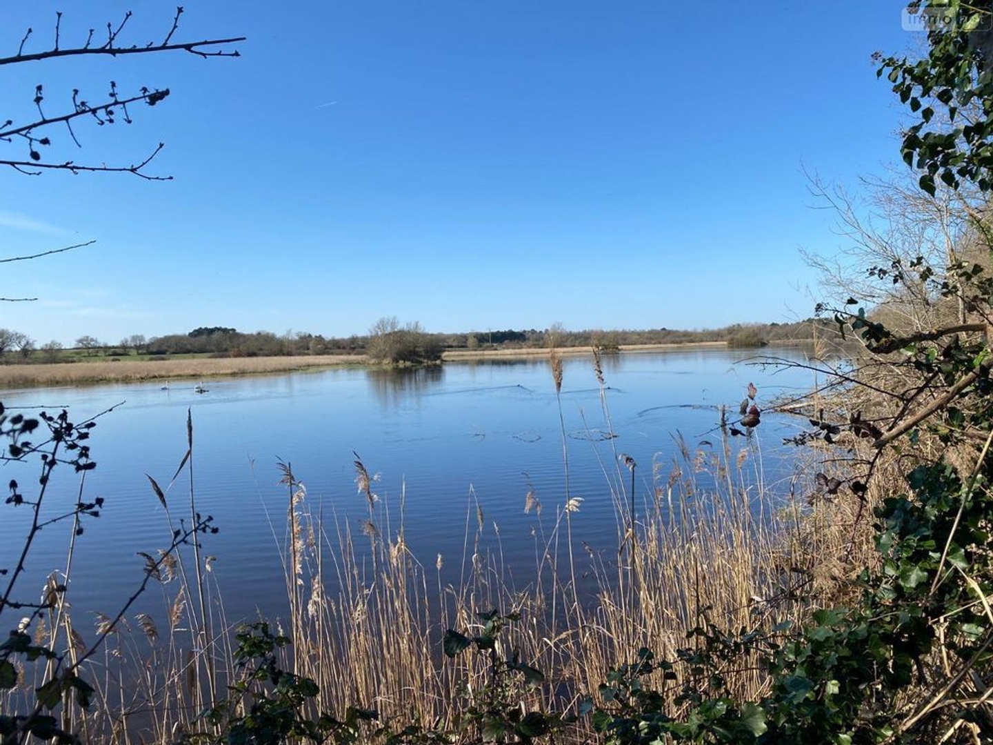 Terrain à vendre - 130000m2 - Lingé (36220)