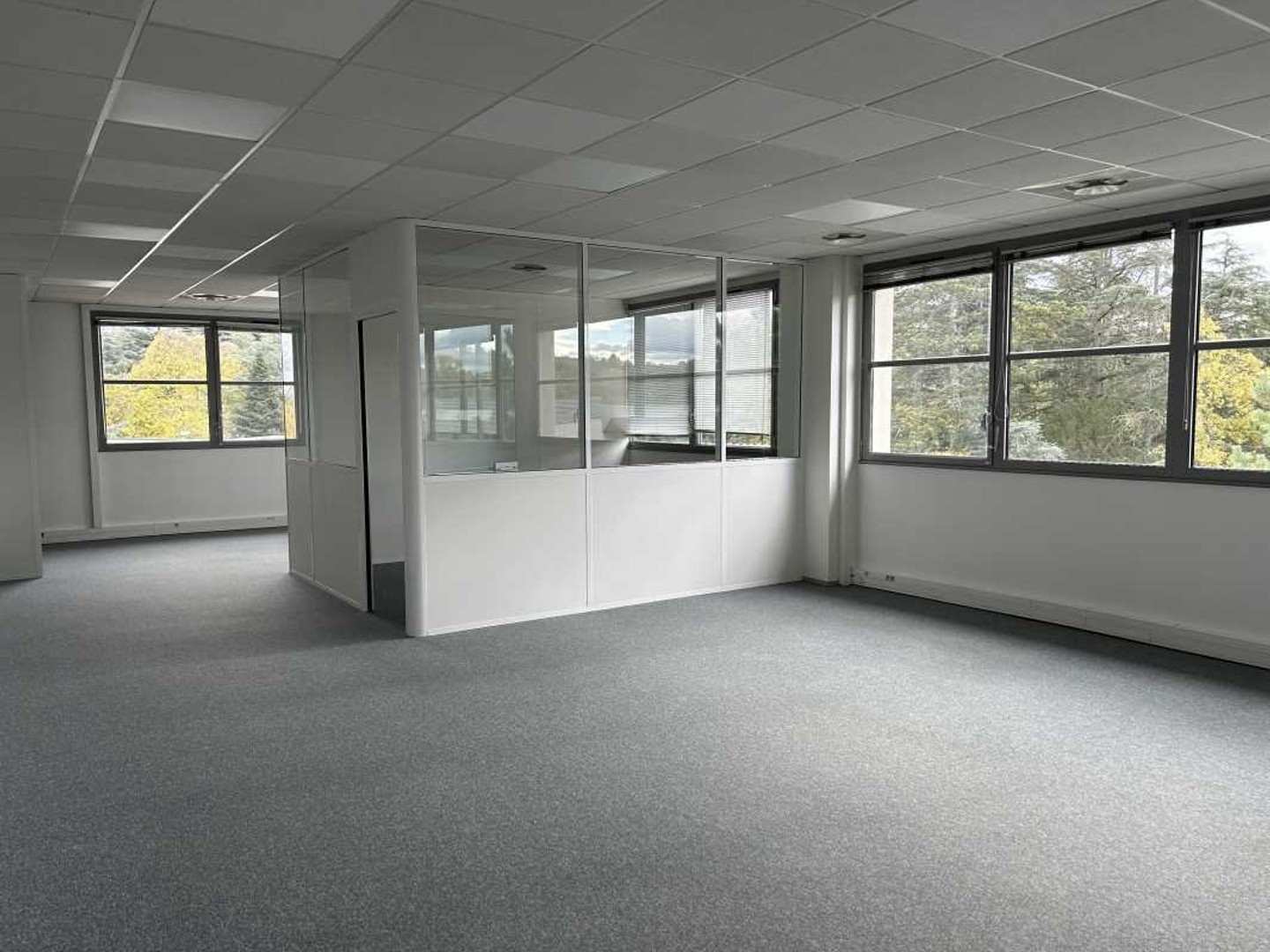 Autre à louer - 163m2 - Saint Genis Laval (69230)
