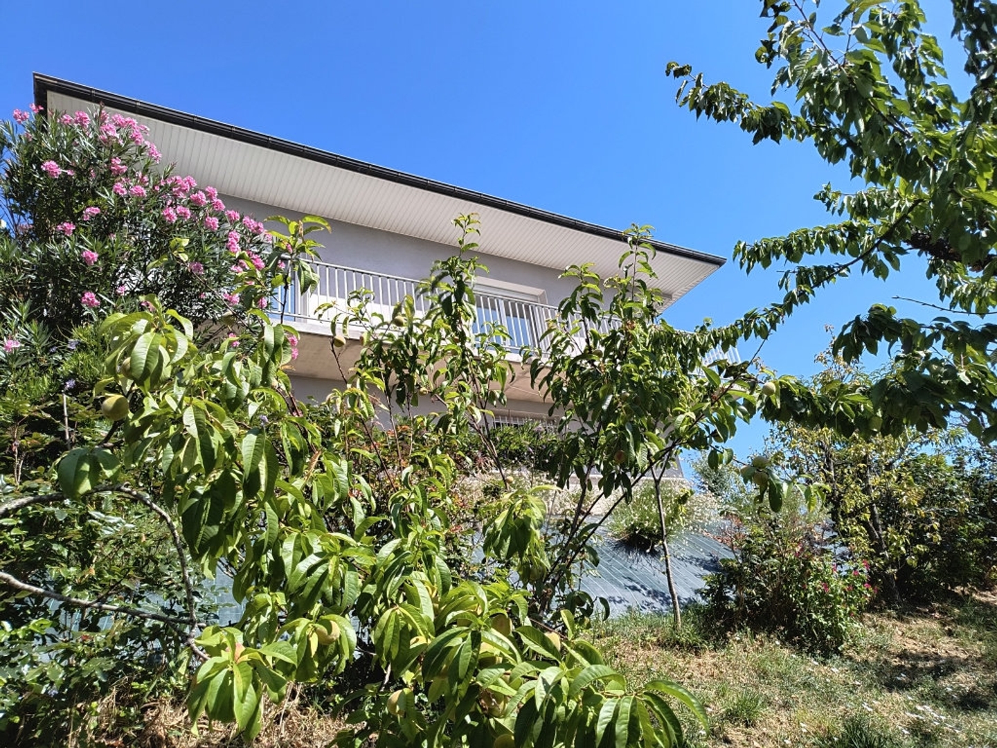Maison à vendre - 5 pièces - 129m2 - Brive-La-Gaillarde (19100)