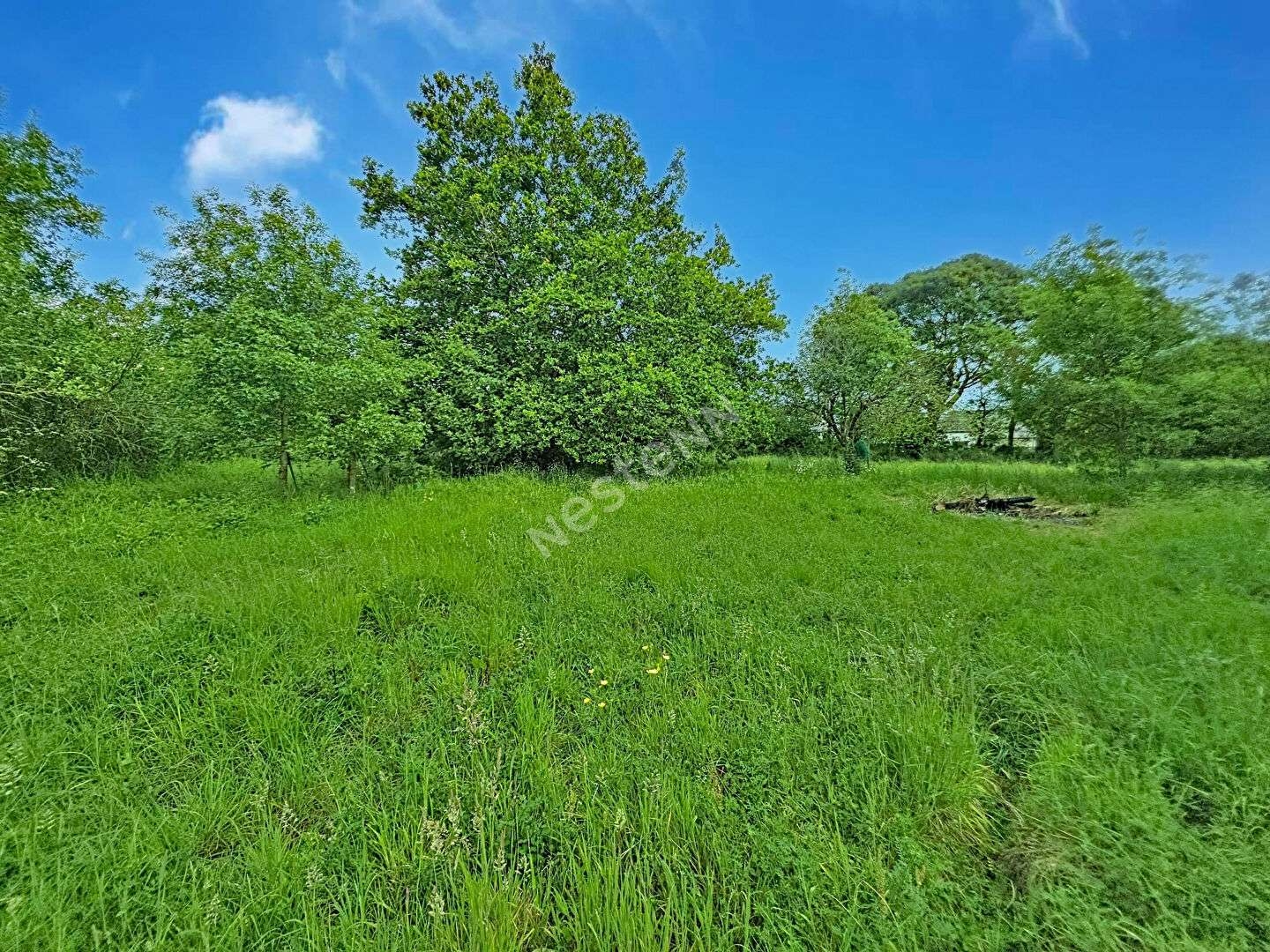 Terrain 635 m²