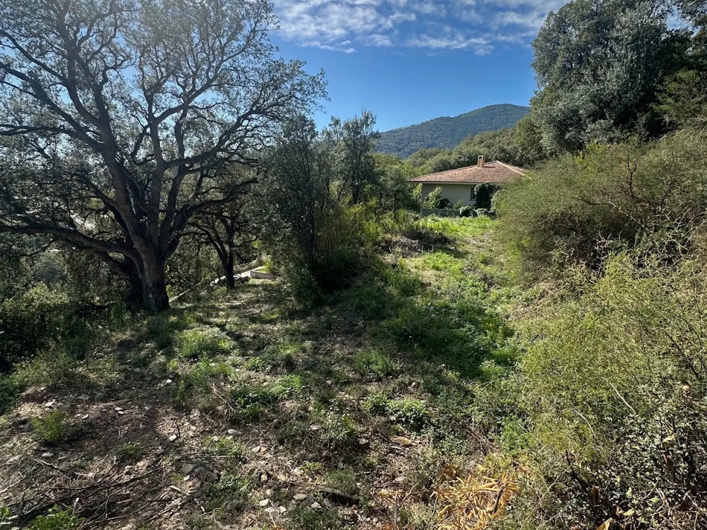 Terrain à vendre - 1600m2 - Lucciana (20290)