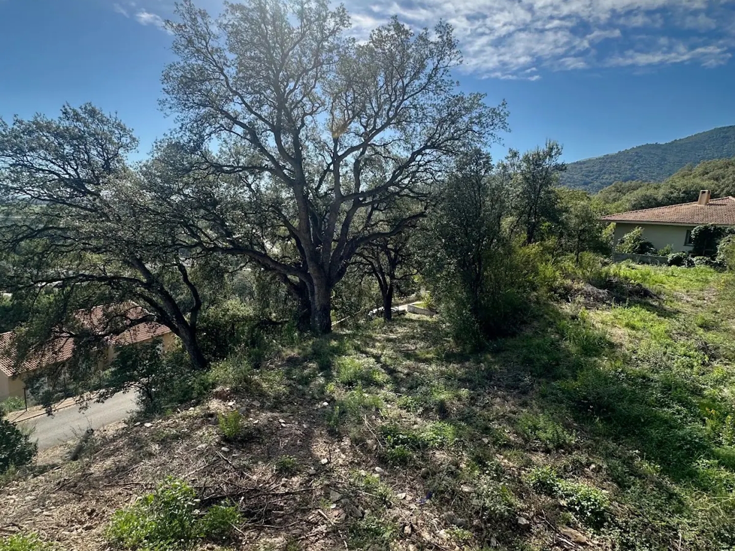 Terrain à vendre - 1600m2 - Lucciana (20290)