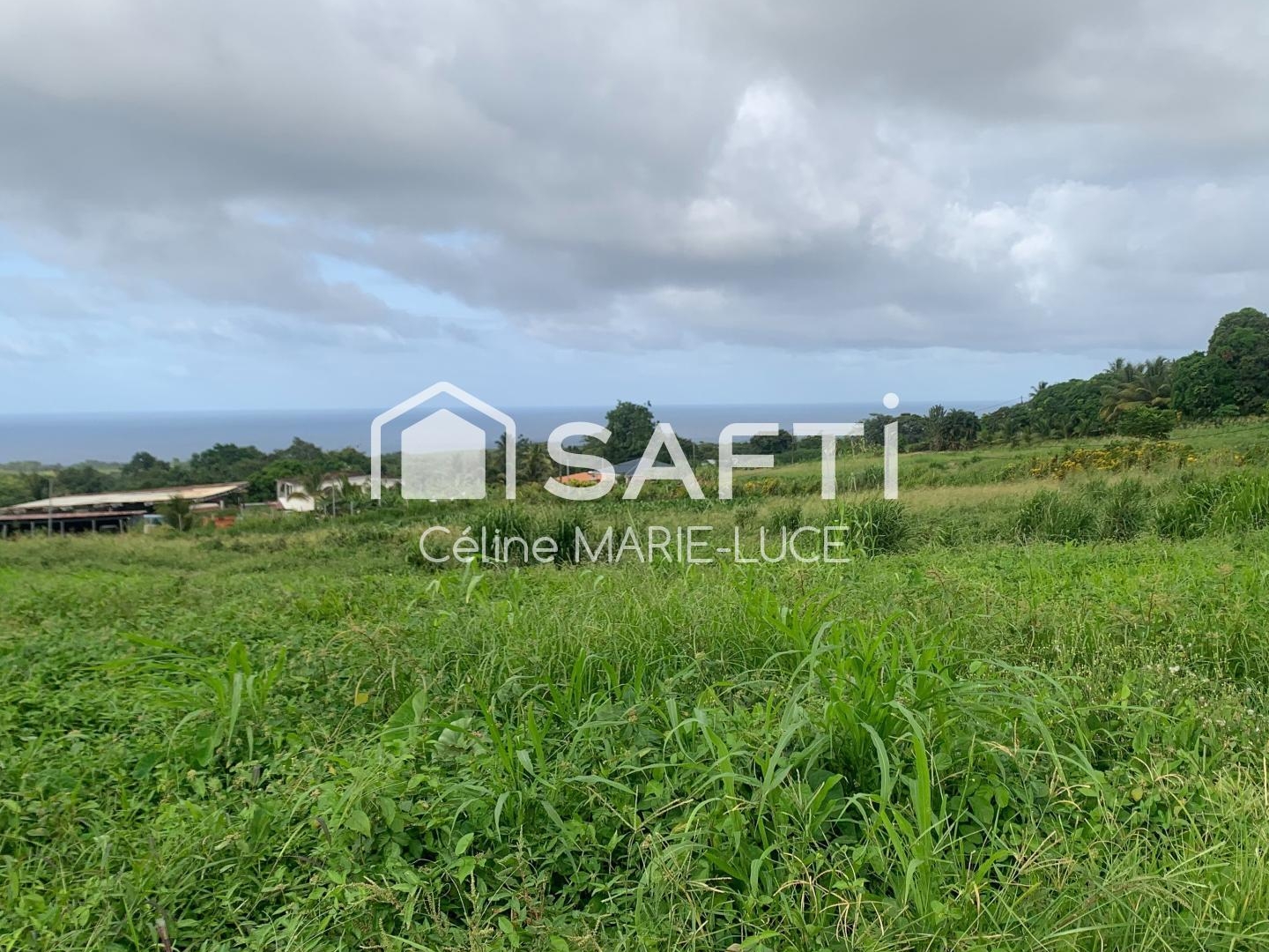 Terrain à vendre - 10620m2 - Basse-Pointe (97218)