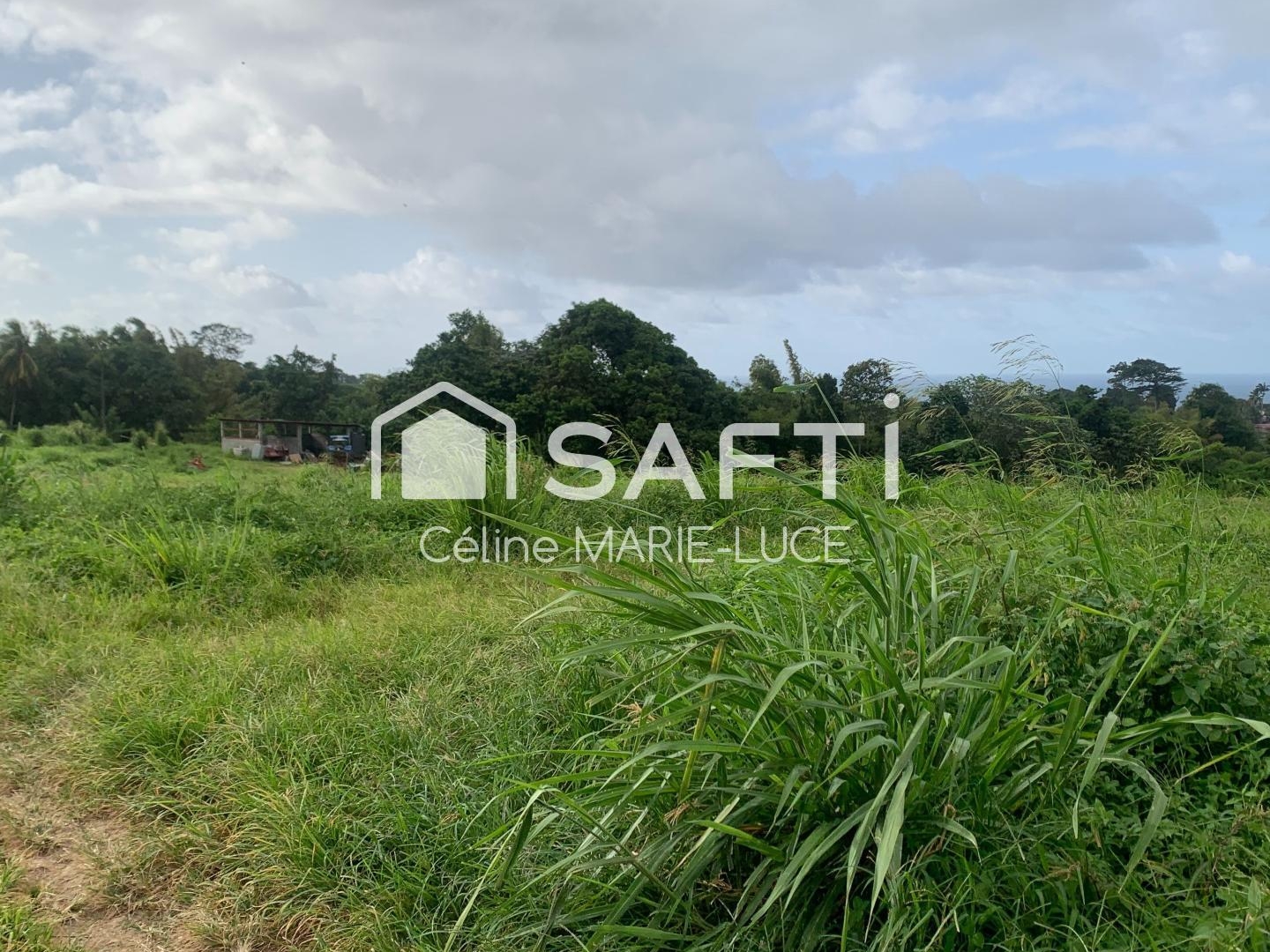 Terrain à vendre - 10620m2 - Basse-Pointe (97218)