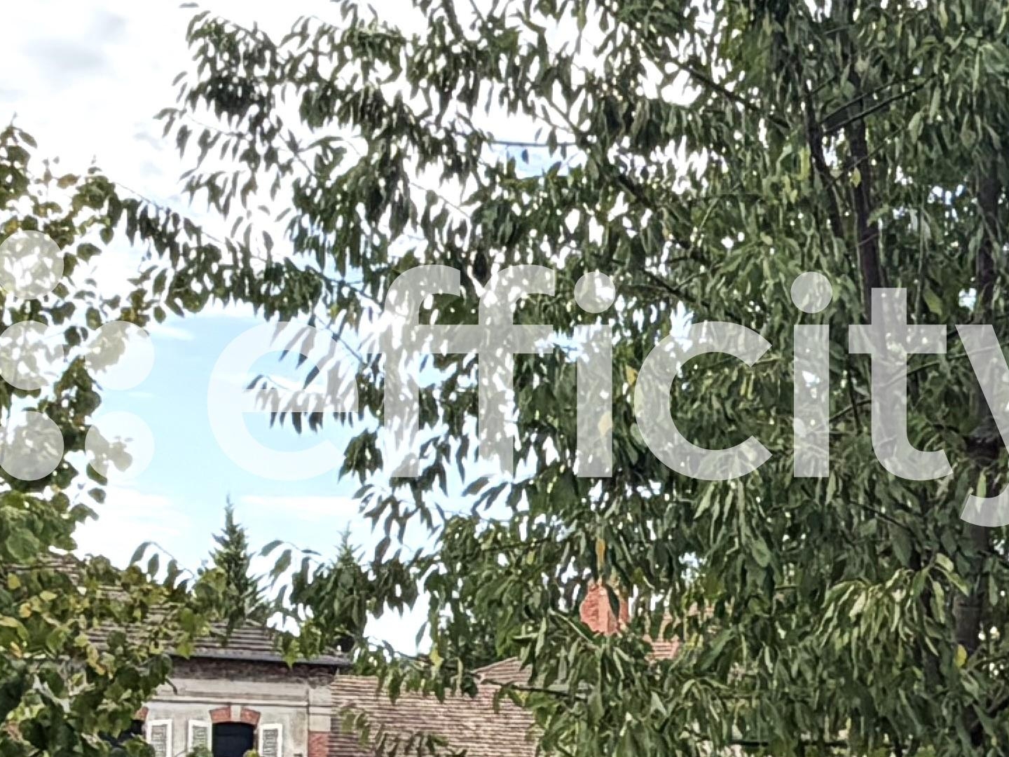 Maison à vendre - 5 pièces - 140m2 - Thizy-Les-Bourgs (69240)