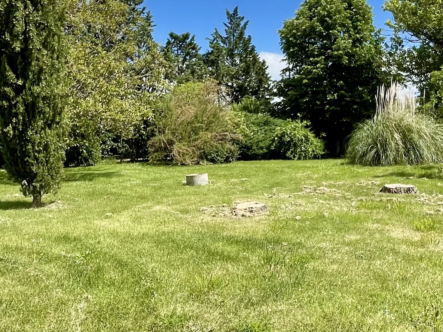Maison à vendre - 9 pièces - 285m2 - Andouque (81350)