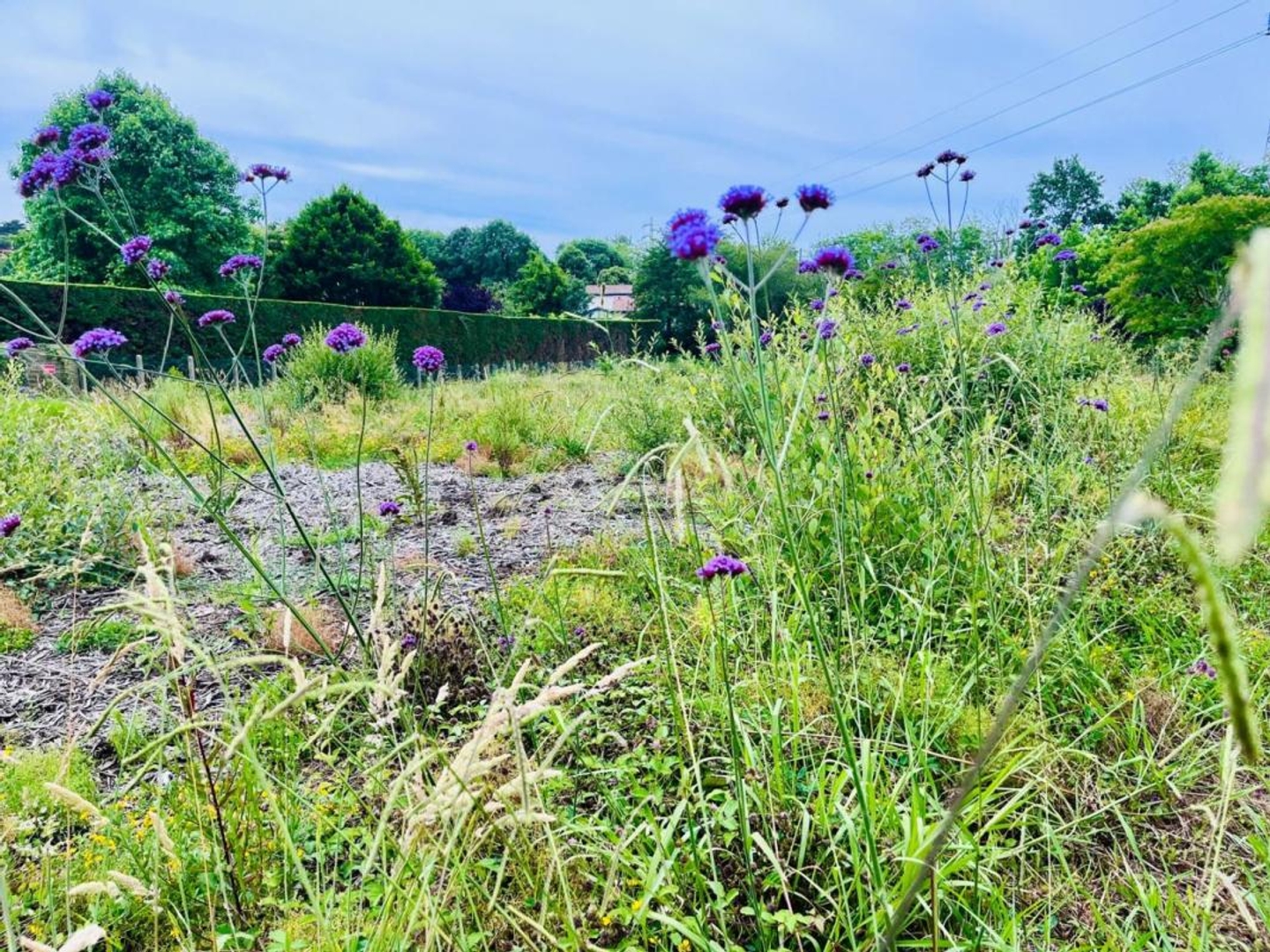 Terrain en individuel 570 m²