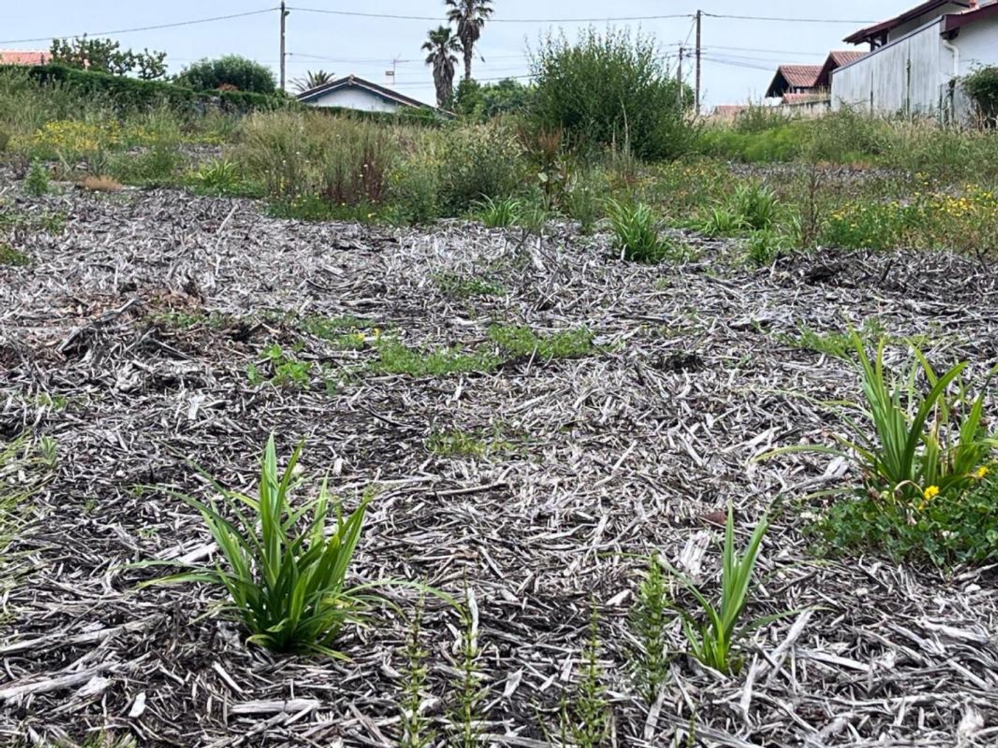 Terrain à vendre - 570m2 - Bidart (64210)